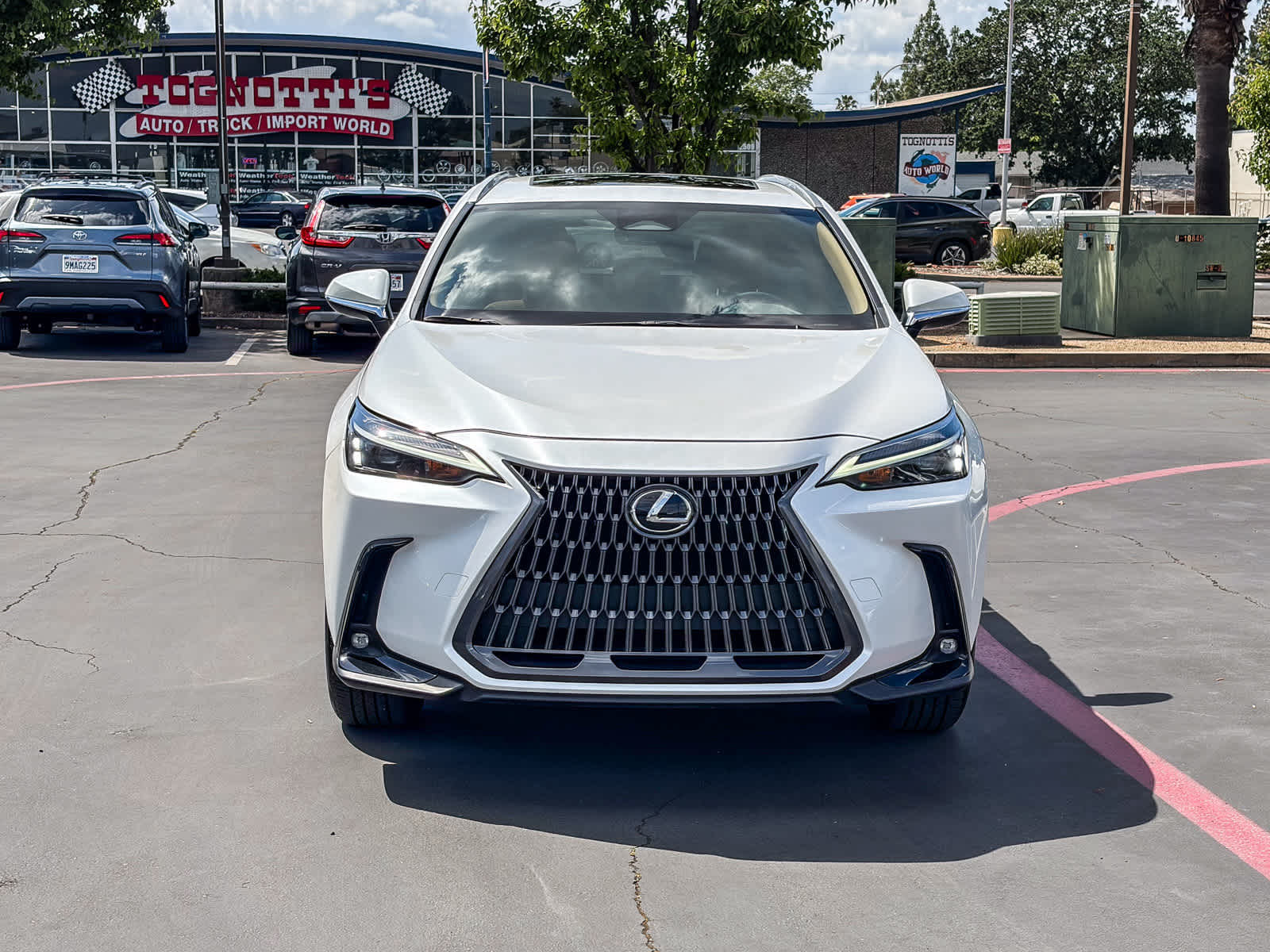2024 LEXUS NX 250 photo 5