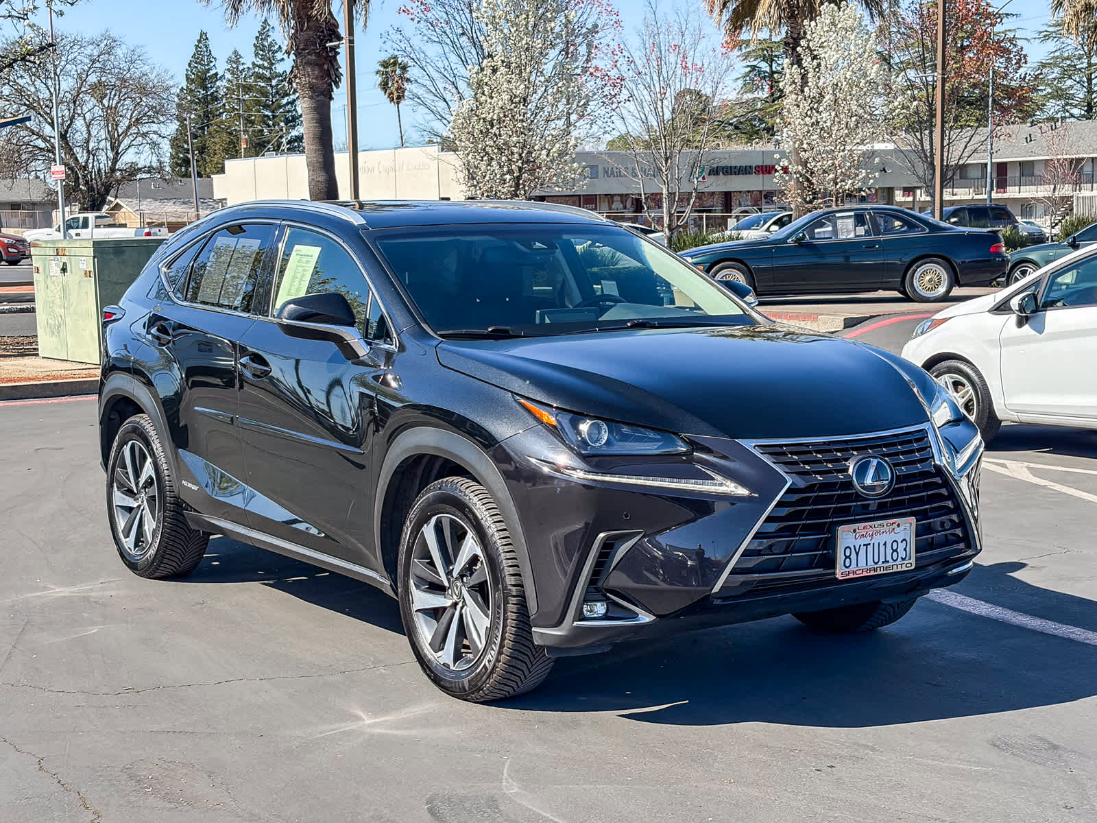2019 LEXUS NX 300h photo 4