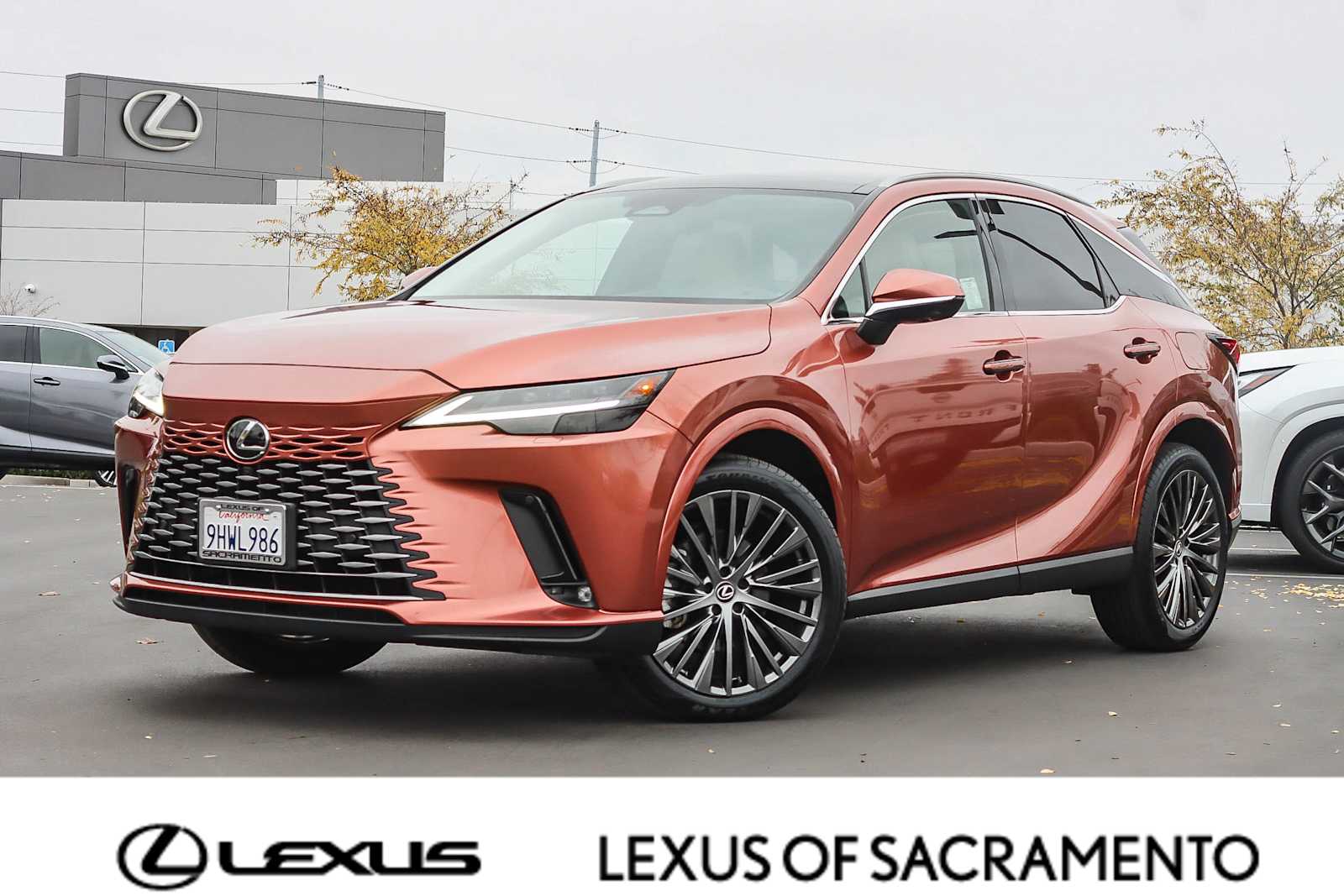 2023 Lexus RX 350's photo