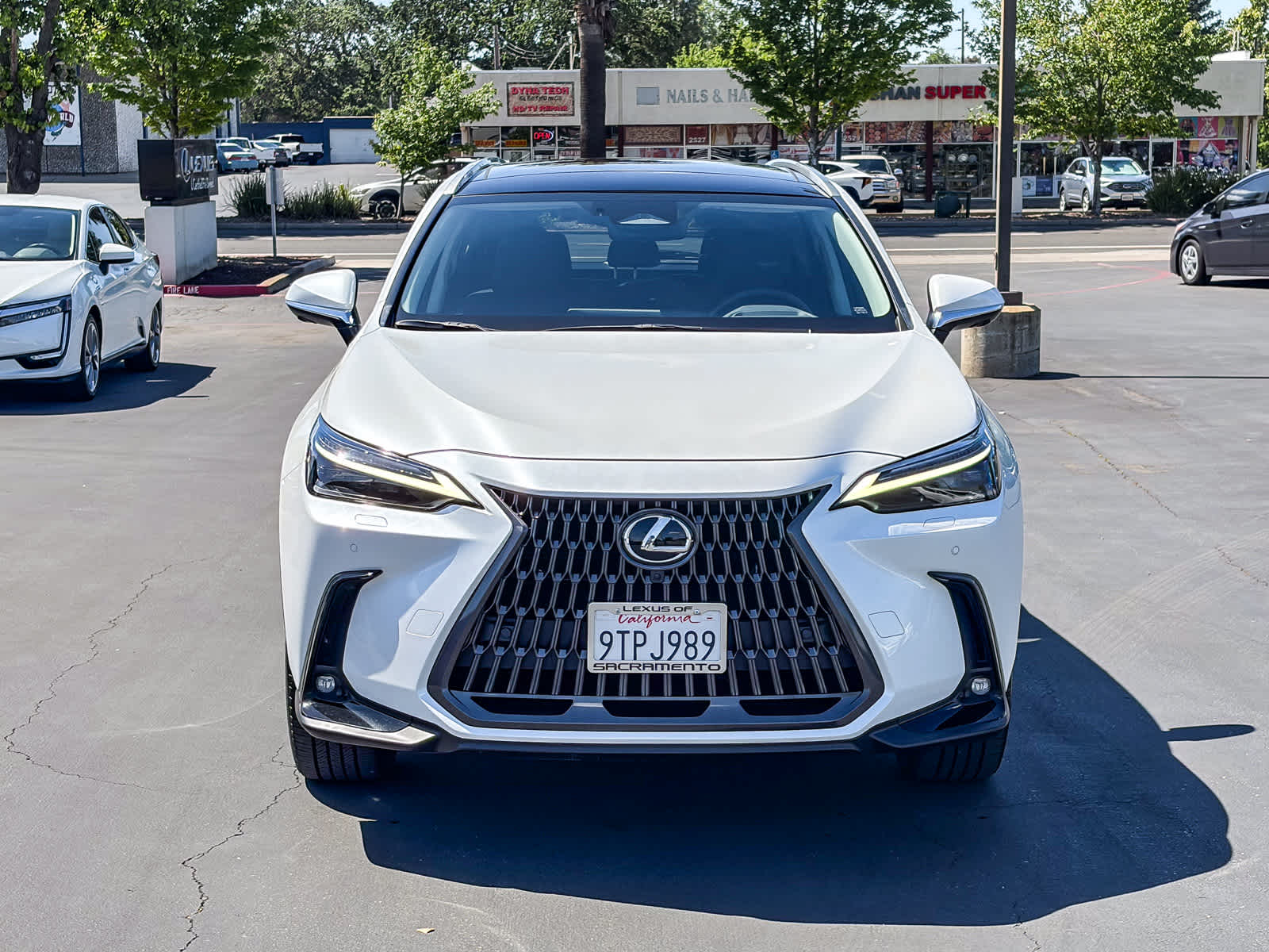 2025 LEXUS NX 450h+ Luxury photo 5