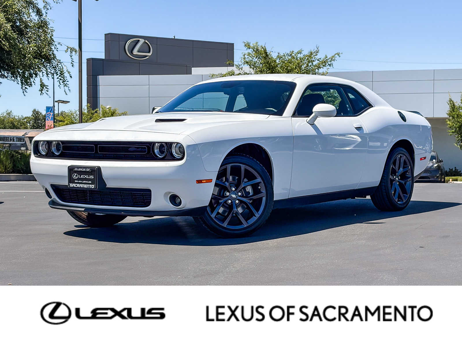 2023 Dodge Challenger SXT Auto's photo