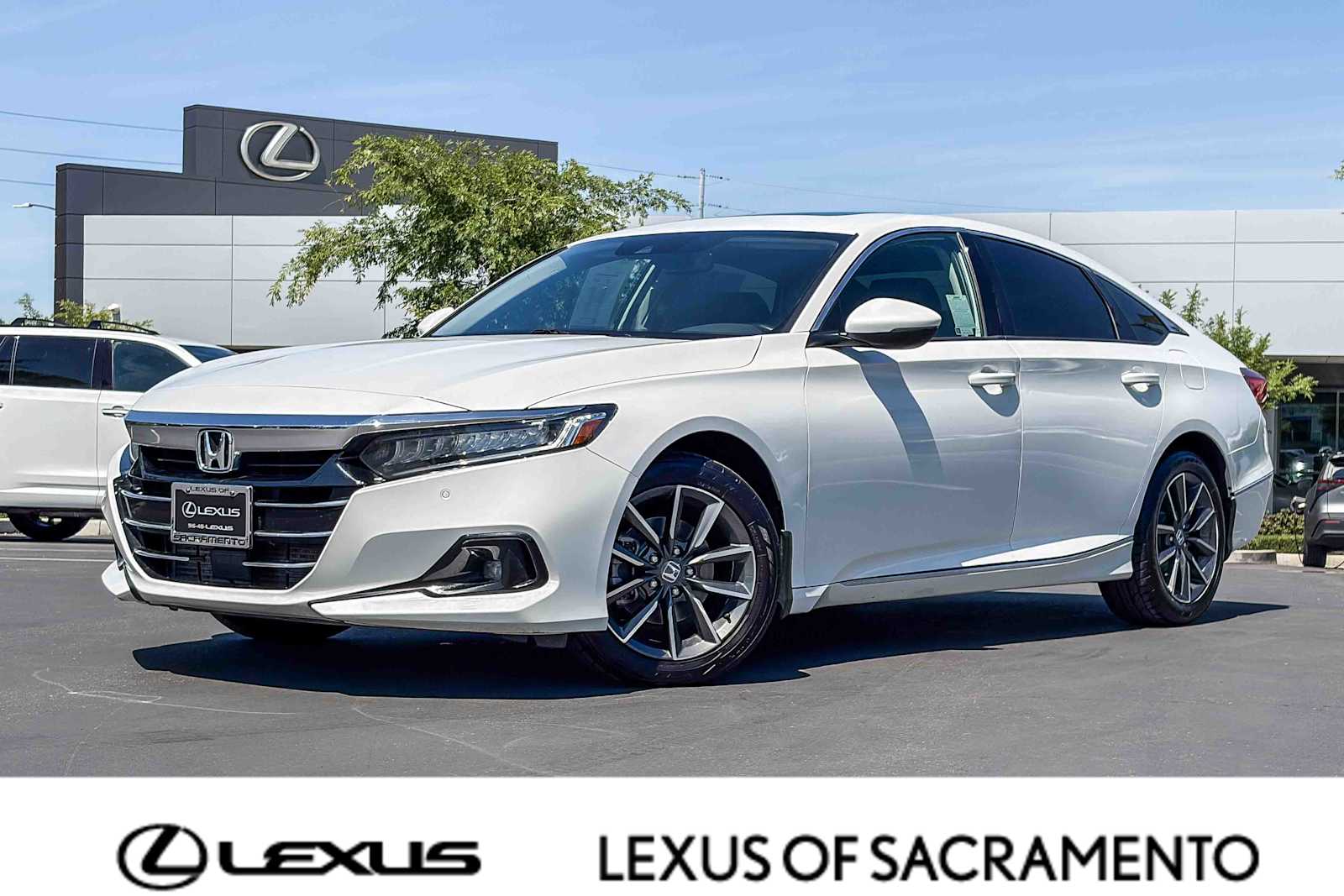 2022 Honda Accord EX-L 1.5T photo 1