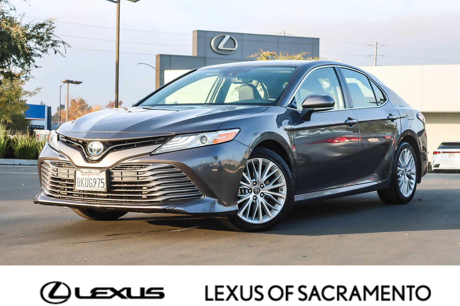 Thumbnail: 2019 Toyota Camry - 1