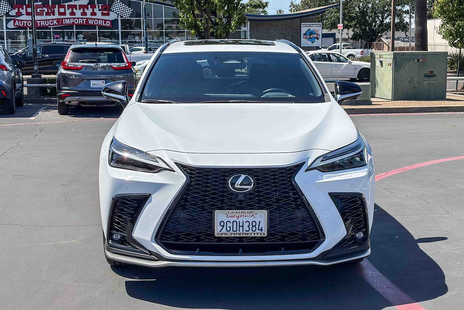 2024 LEXUS NX 450h+ F SPORT Handling photo 5