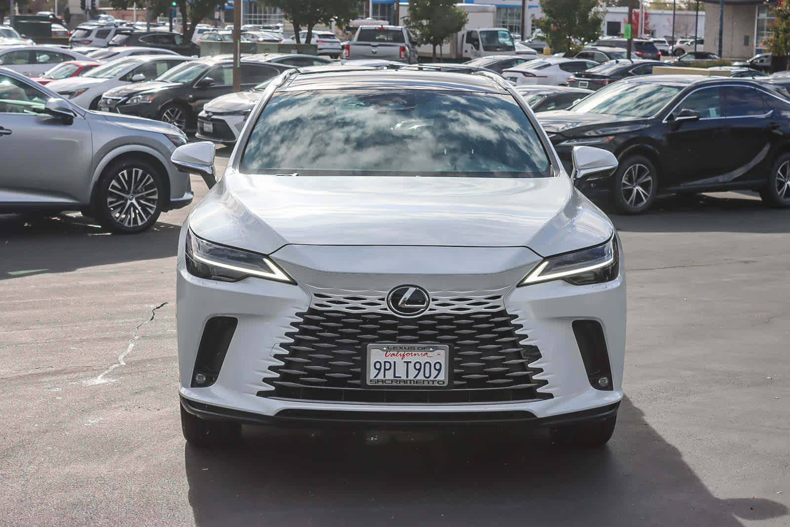 Thumbnail: 2024 Lexus RX - 6
