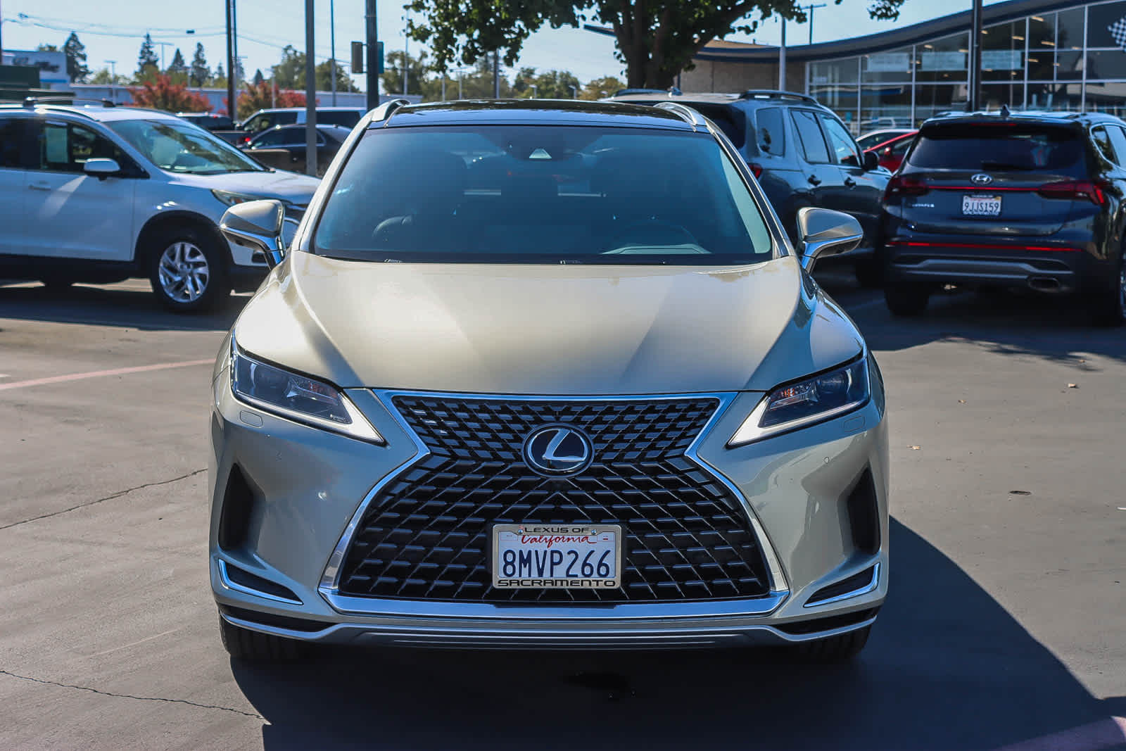 Thumbnail: 2020 Lexus RX - 6