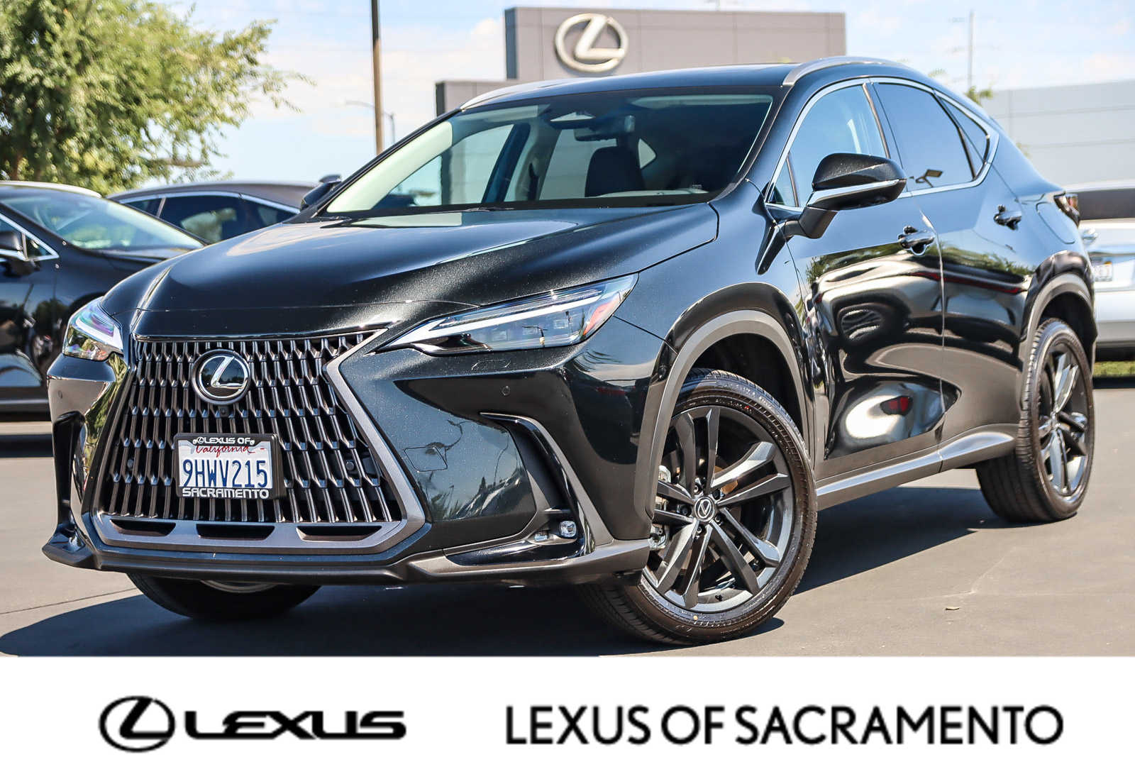 2024 Lexus NX 450h+ Luxury