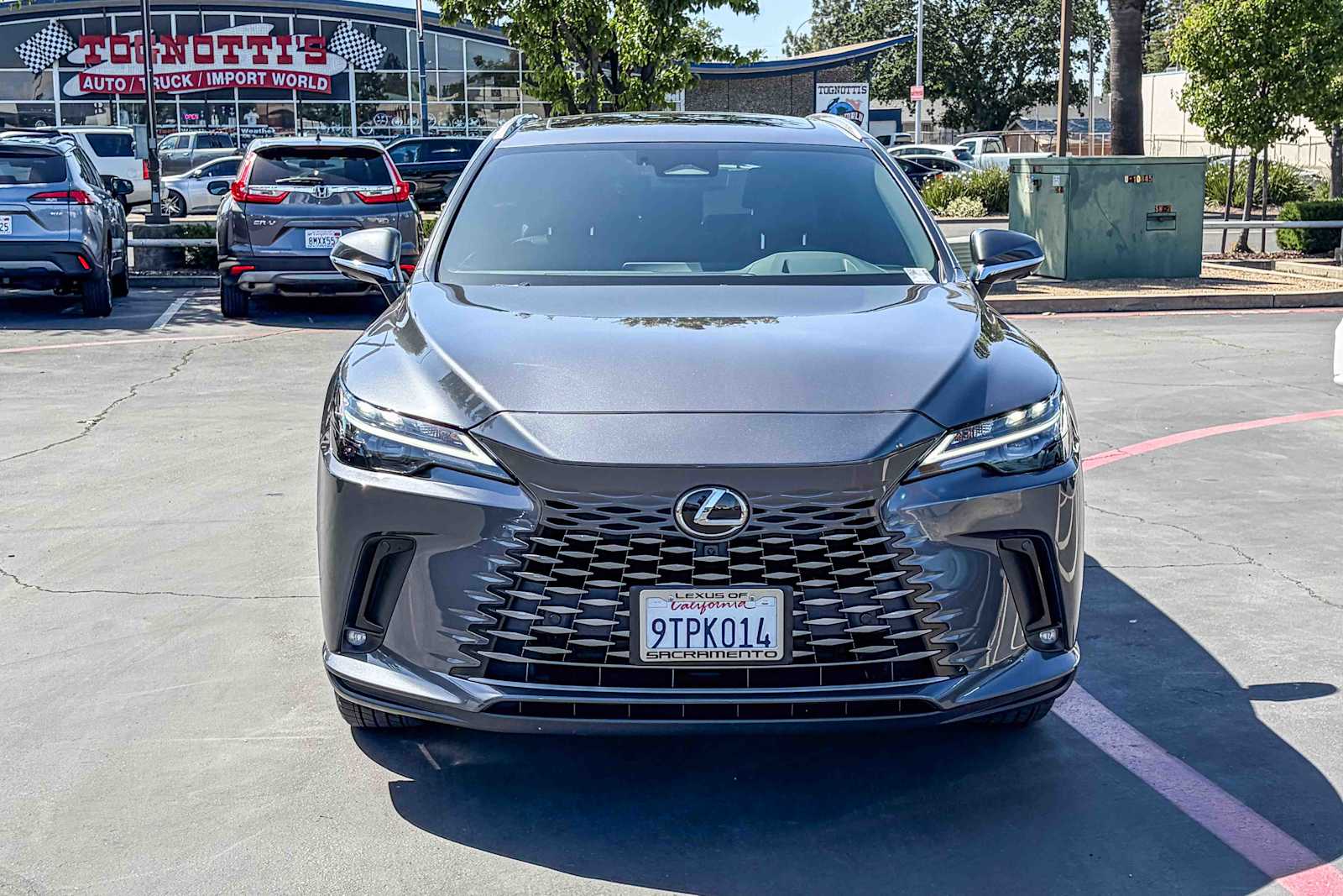 2025 LEXUS RX 350h Premium Plus photo 5