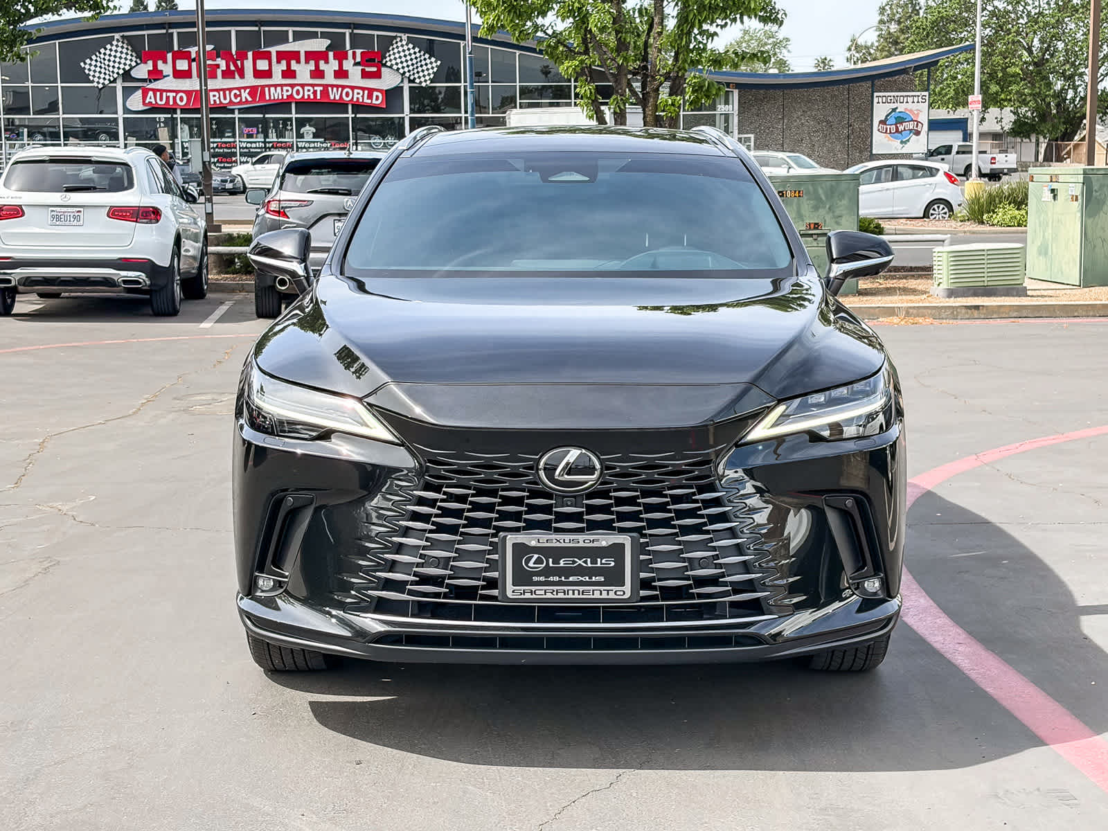 2024 LEXUS RX 350h Luxury photo 5