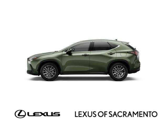 2026 Lexus NX 350's photo
