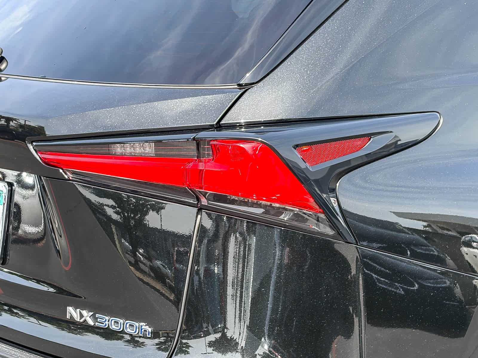 2019 LEXUS NX 300h photo 3