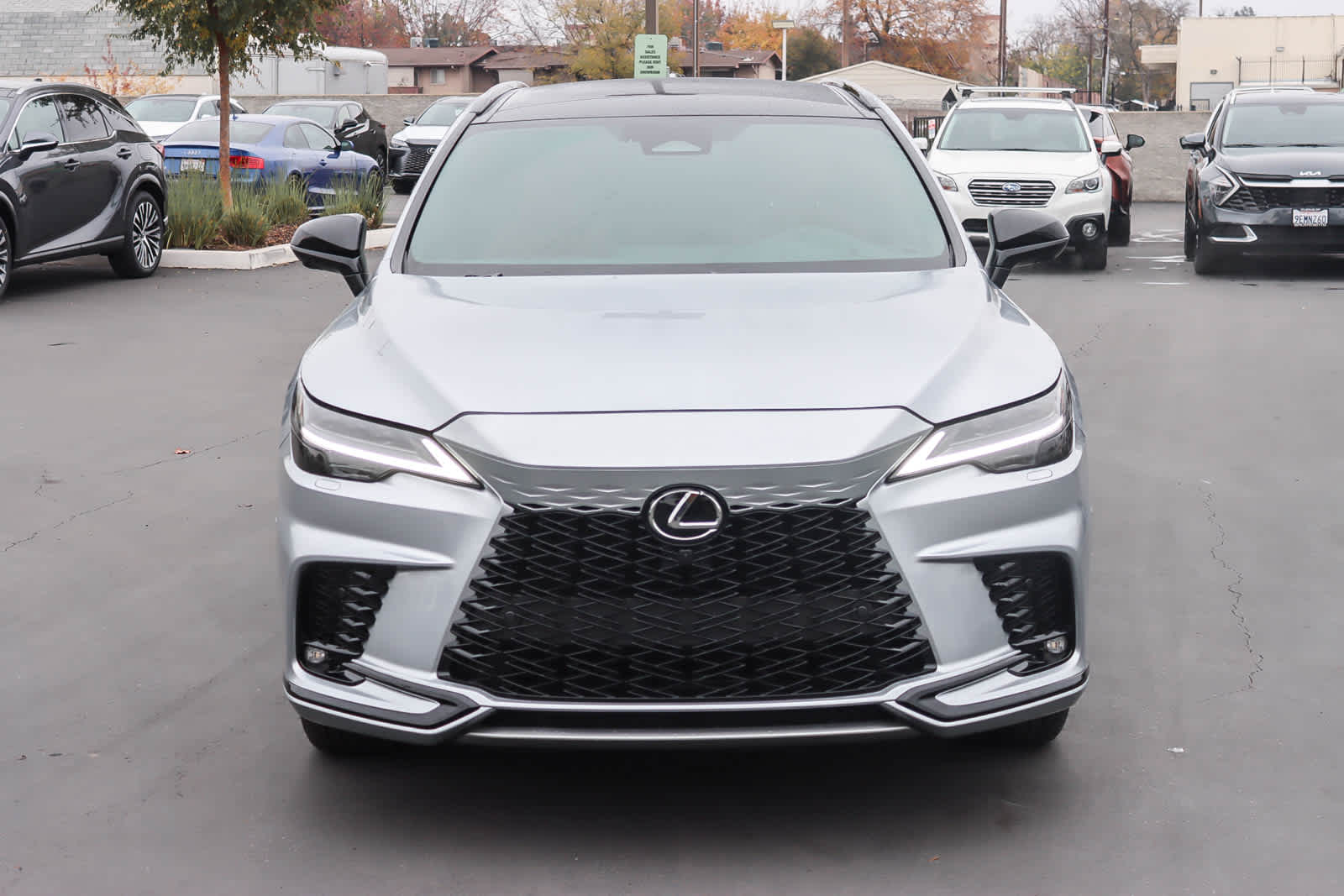 Thumbnail: 2025 Lexus RX - 6