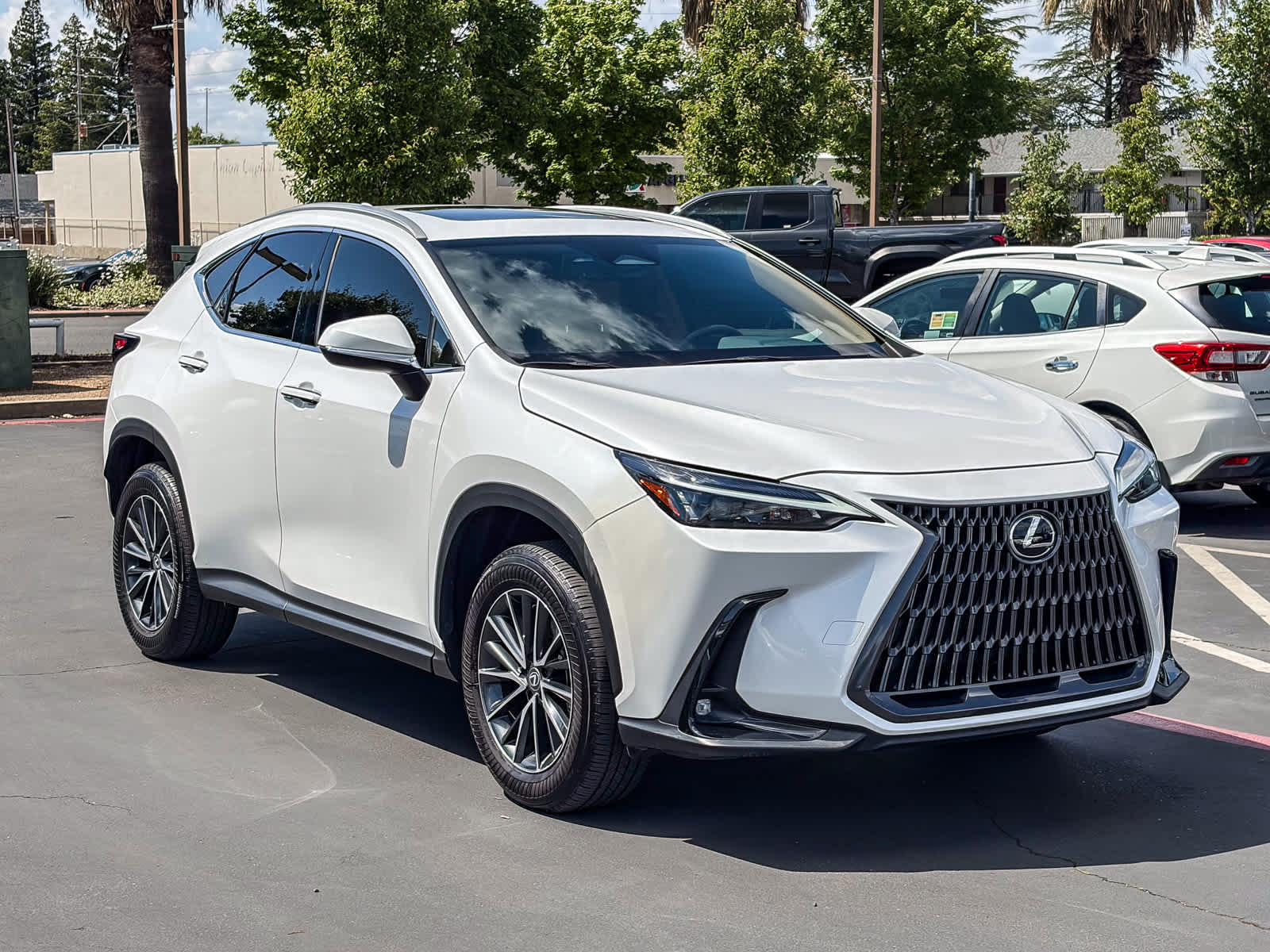 2024 LEXUS NX 250 photo 4