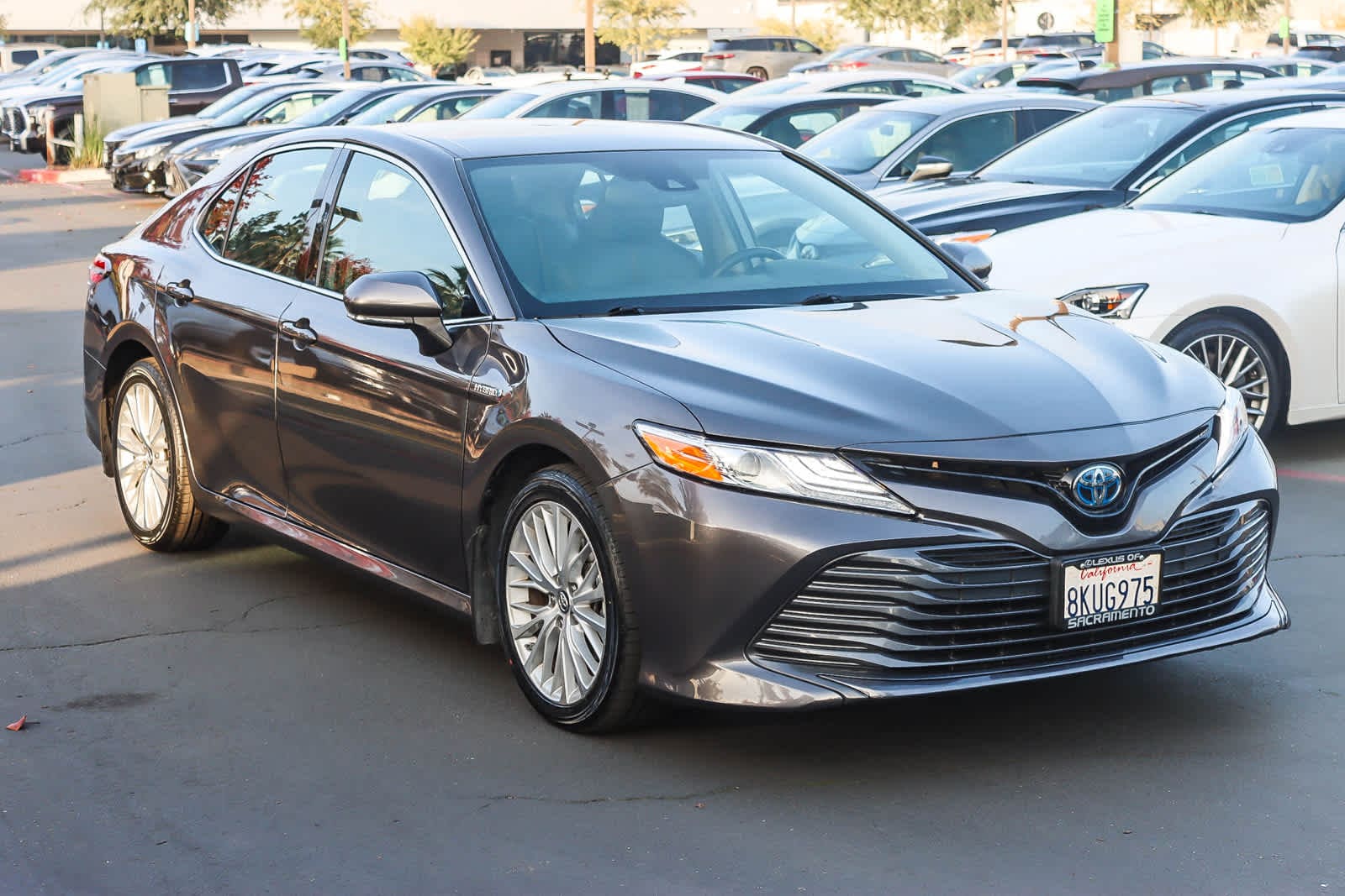 Thumbnail: 2019 Toyota Camry - 5