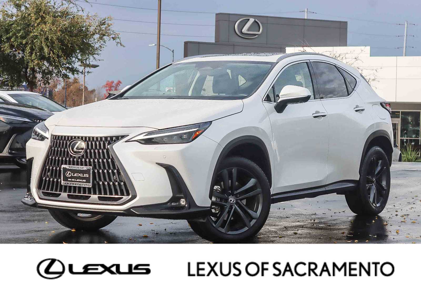 2024 Lexus NX PHEV 450h+'s photo