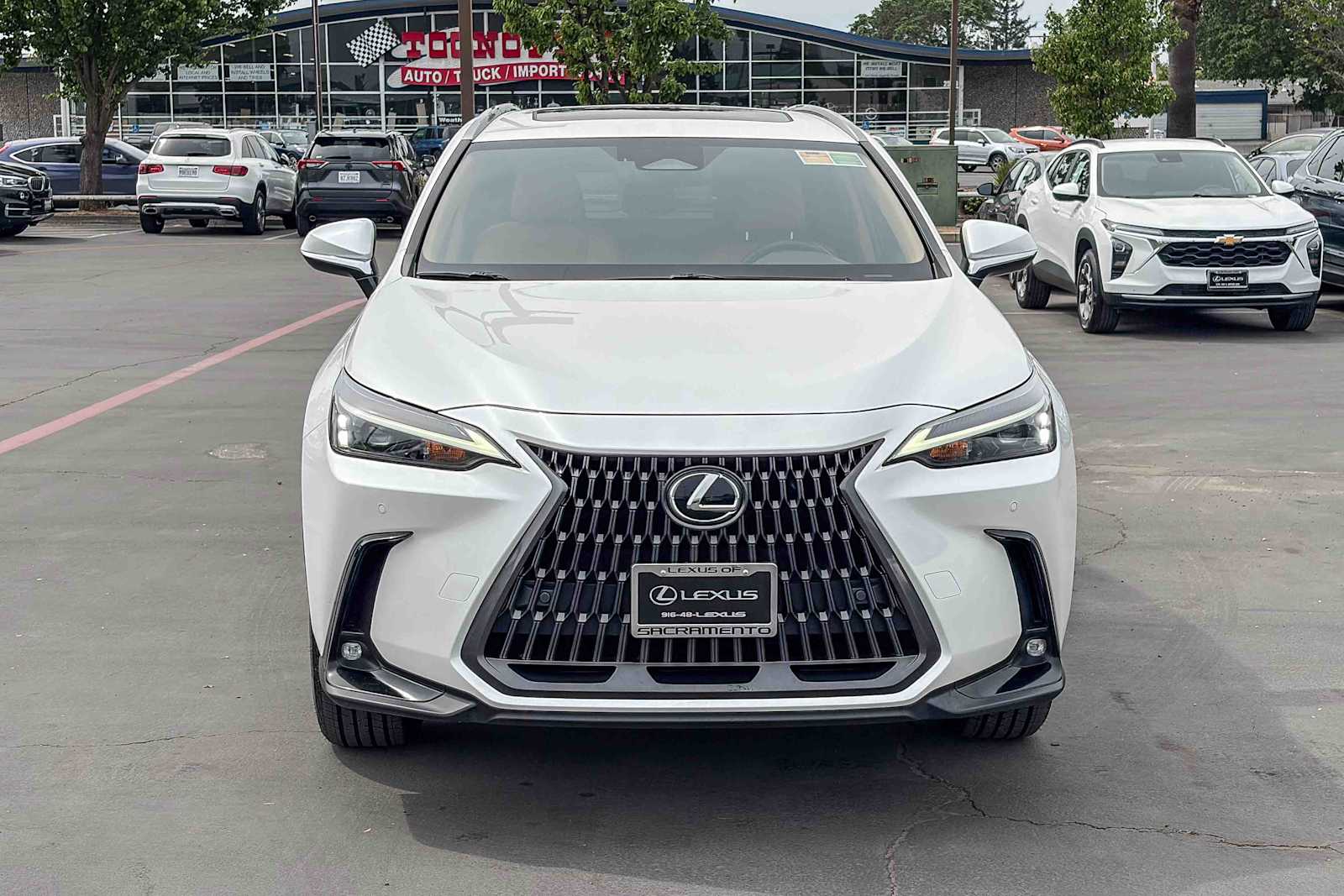 2024 LEXUS NX 350h Premium photo 5