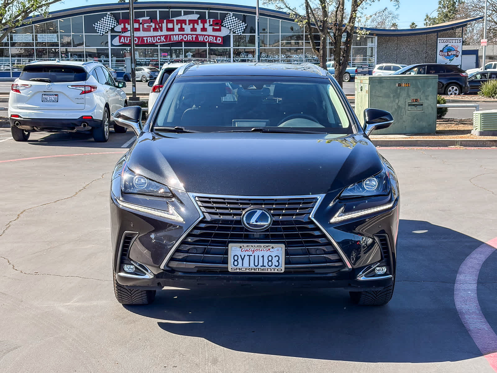 2019 LEXUS NX 300h photo 5