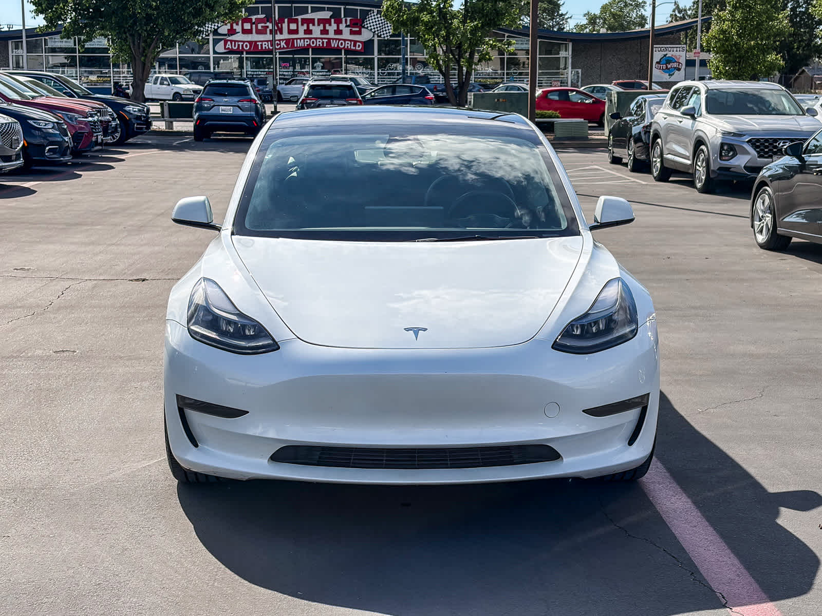 2023 Tesla Model 3 Performance photo 5