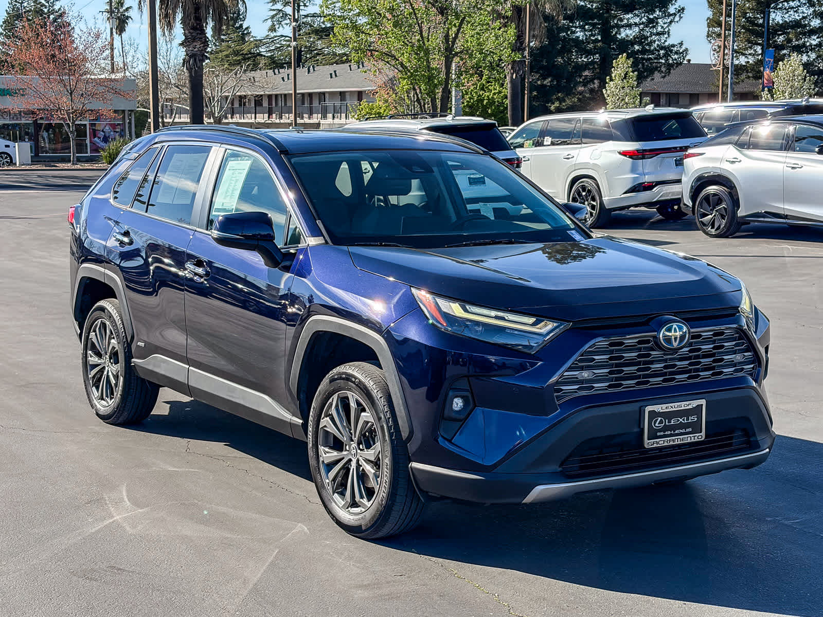 2022 Toyota RAV4 Hybrid Limited photo 4