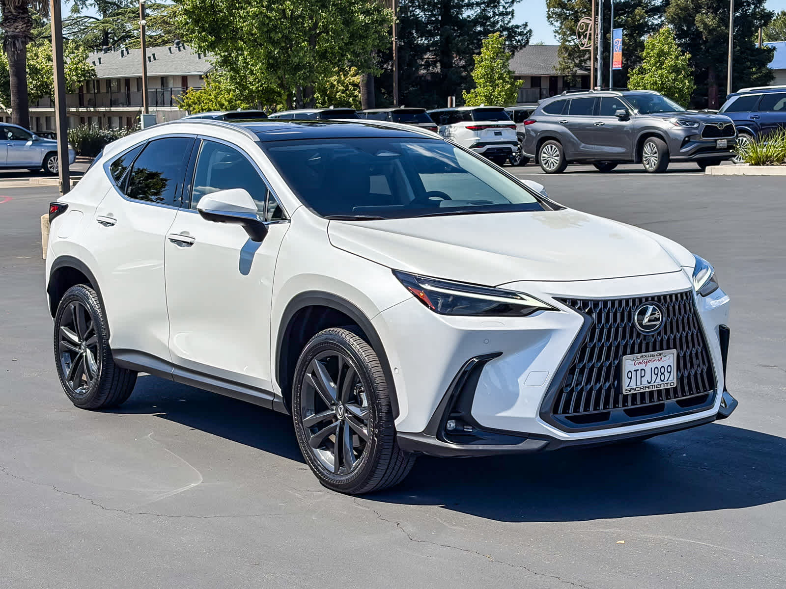 2025 LEXUS NX 450h+ Luxury photo 4
