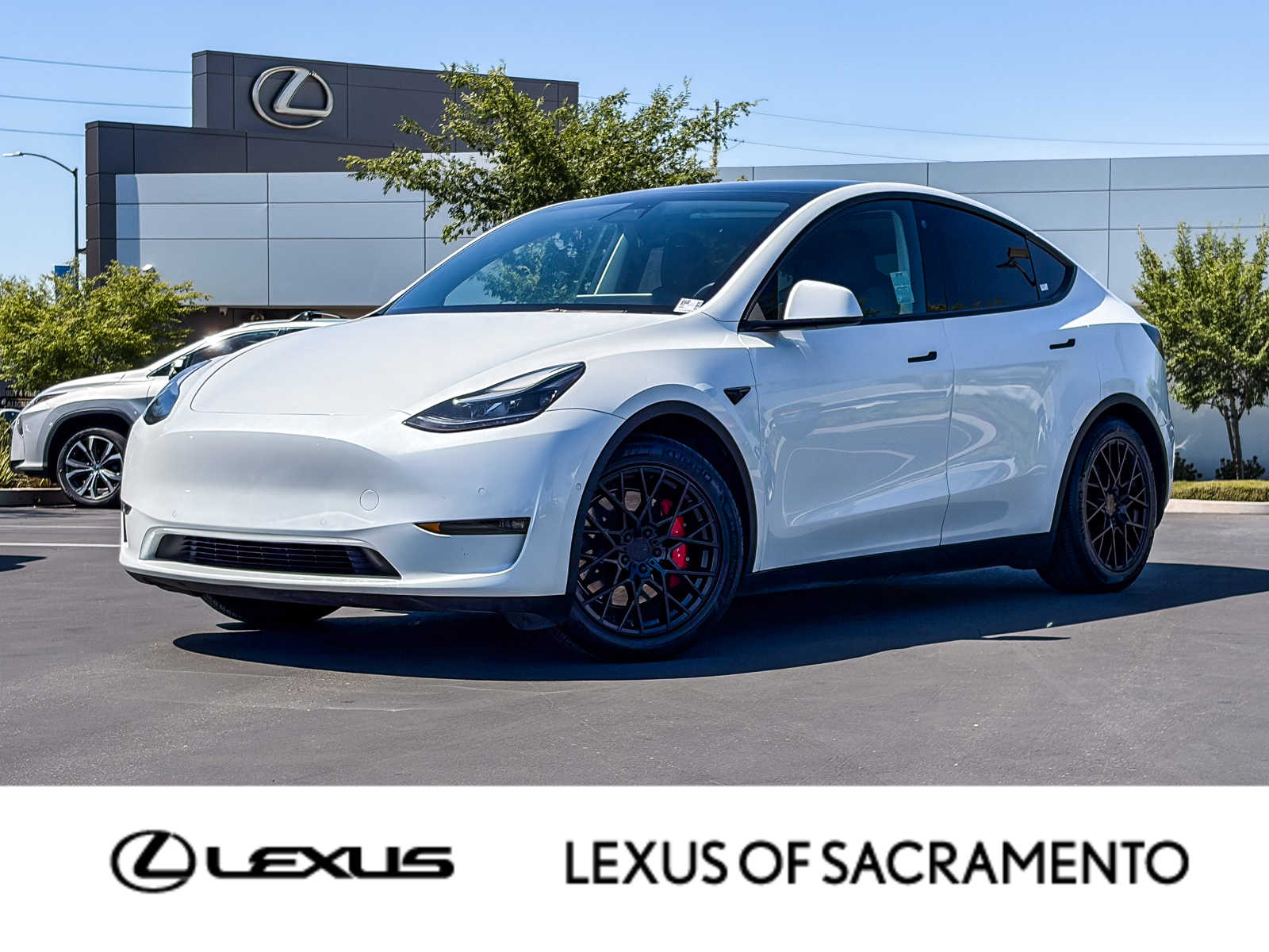 2022 Tesla Model Y Performance -
                  Sacramento, CA