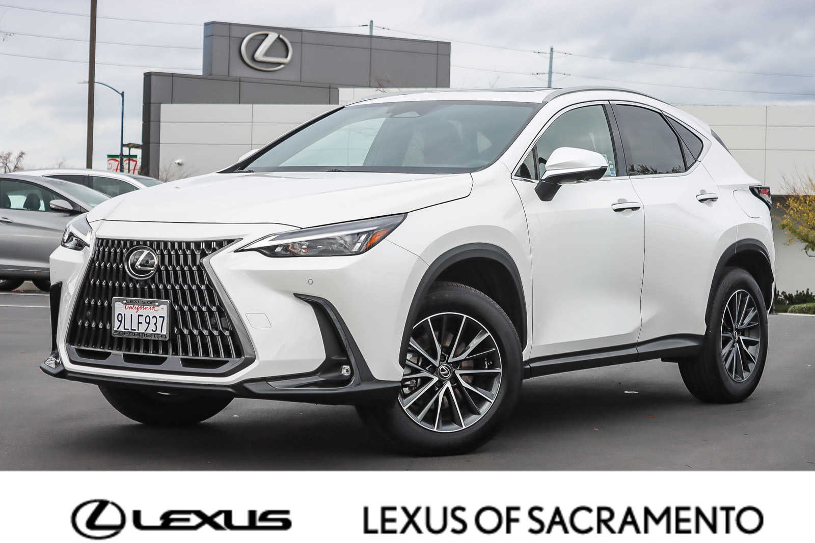 2024 Lexus NX Hybrid 350h's photo