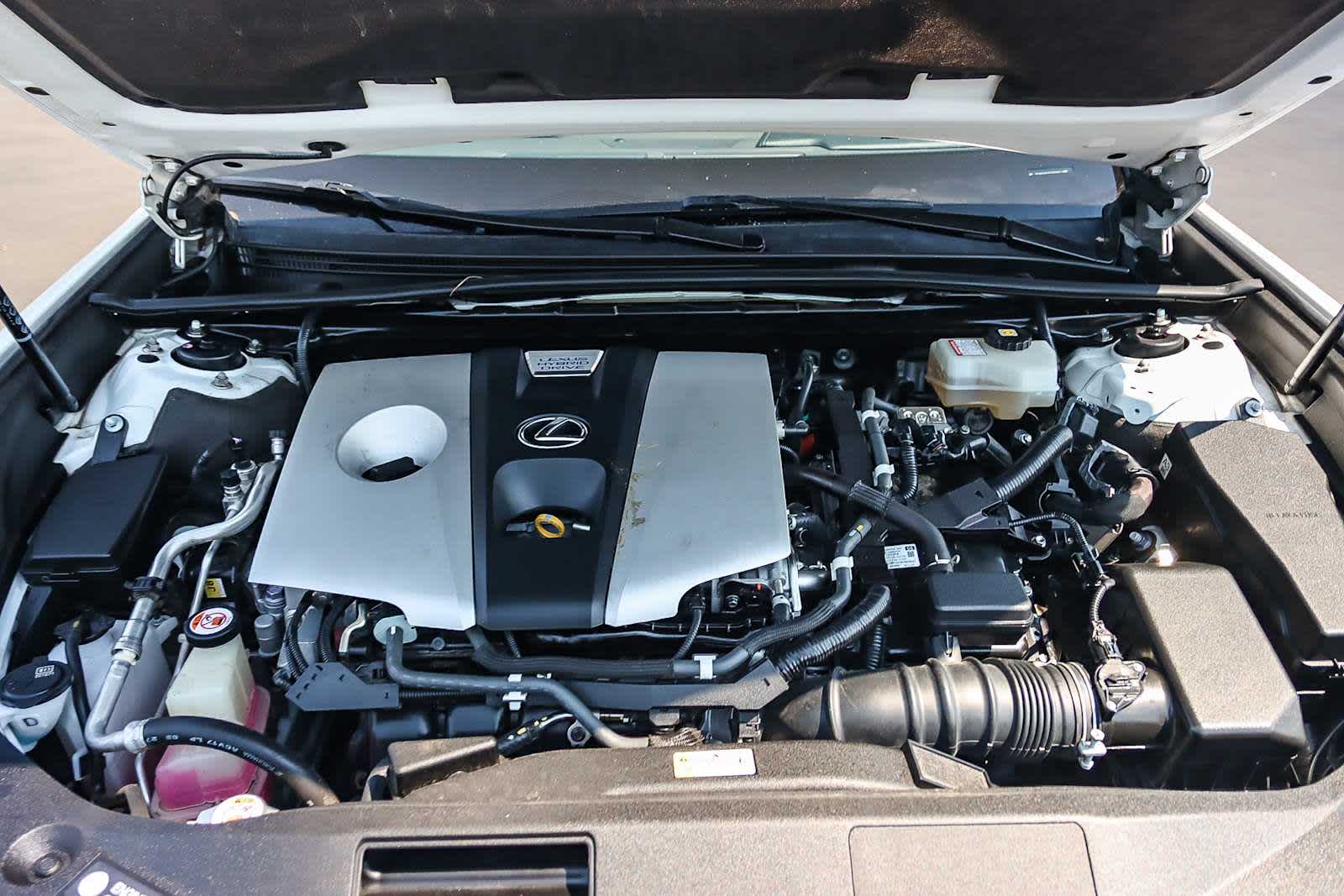 Thumbnail: 2019 Lexus ES - 39