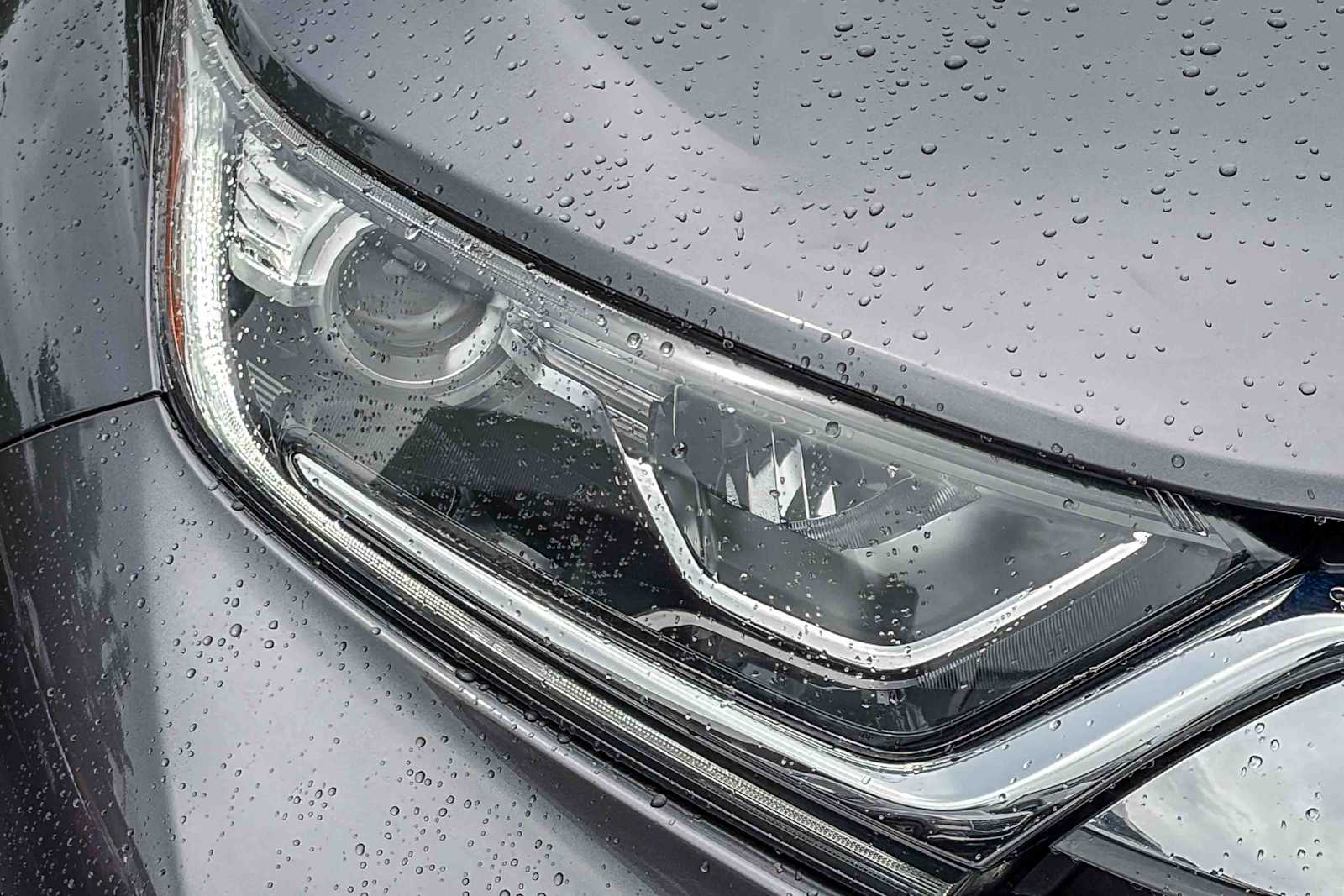 2019 Honda CR-V EX-L 2WD photo 6