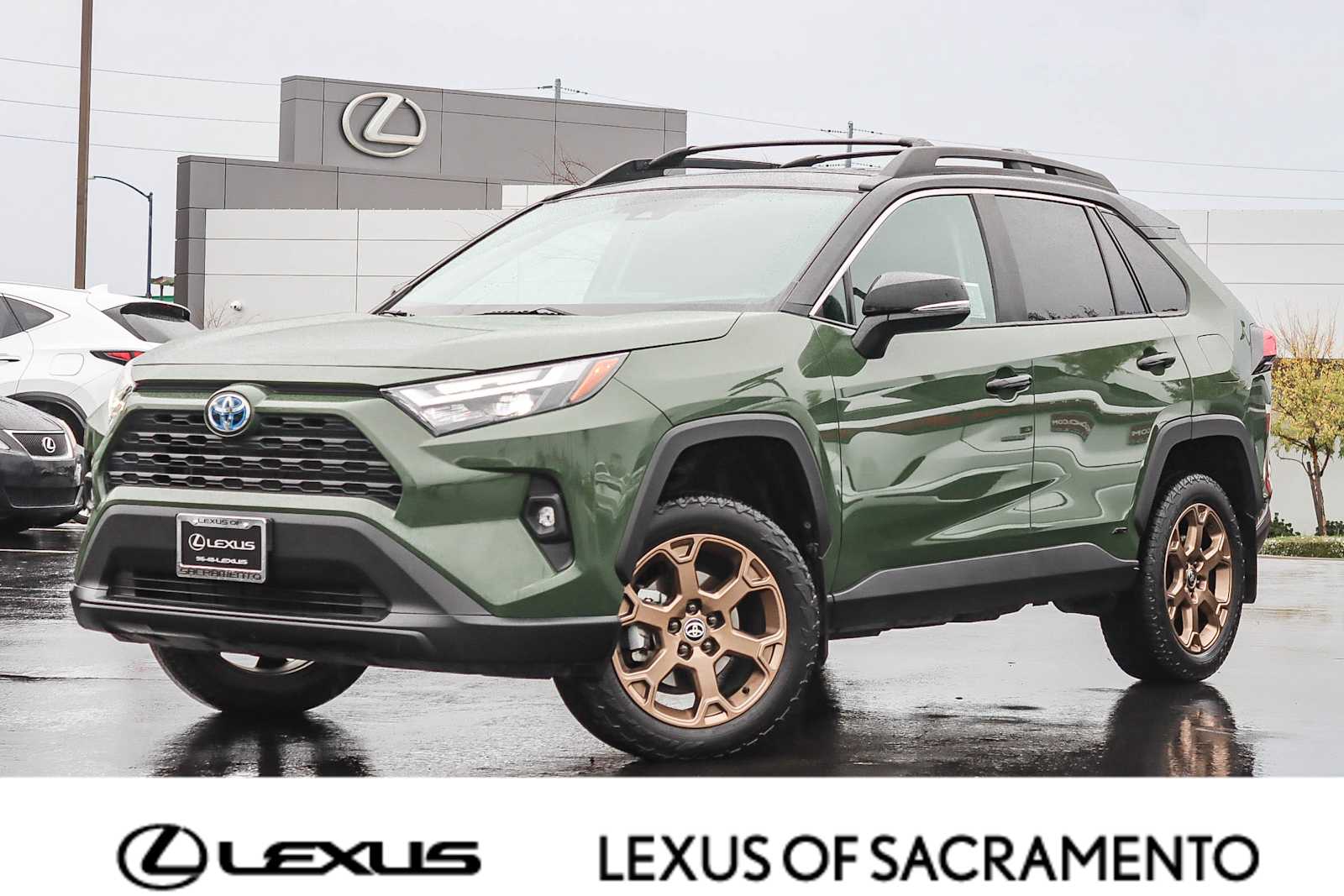 2024 Toyota RAV4 Woodland Edition