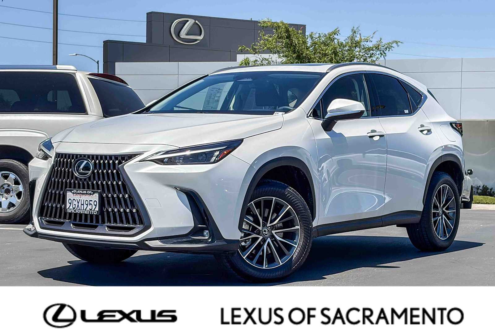 2024 Lexus NX 350 350 AWD's photo