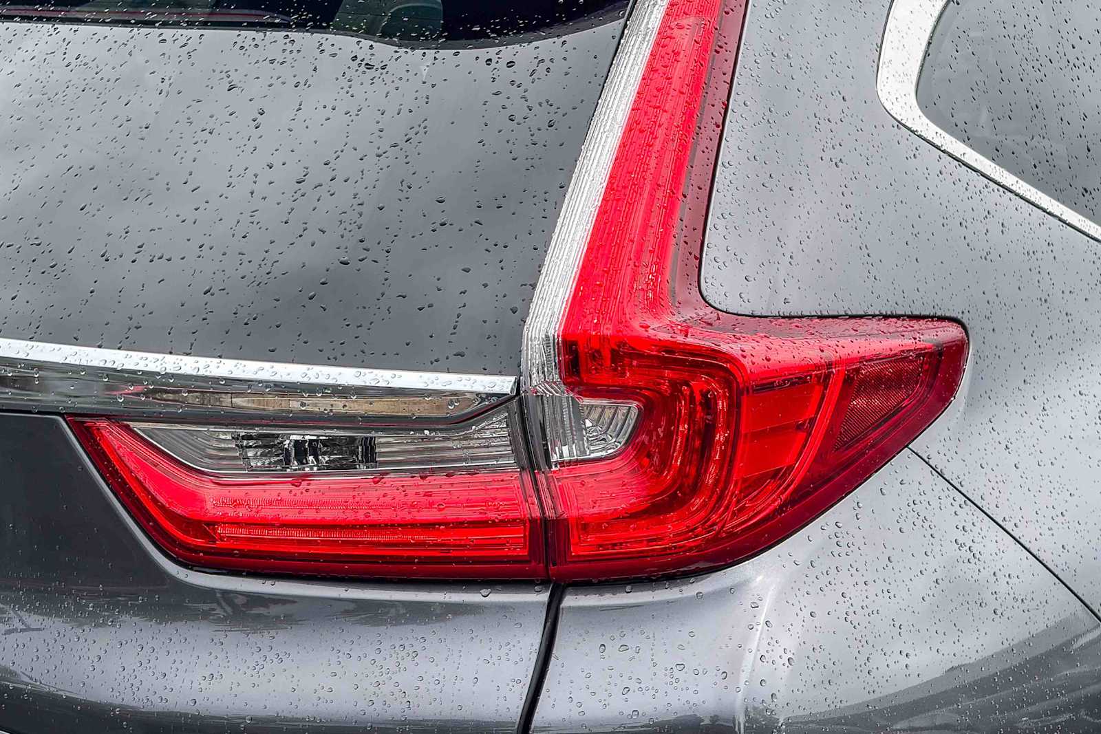 2019 Honda CR-V EX-L 2WD photo 3