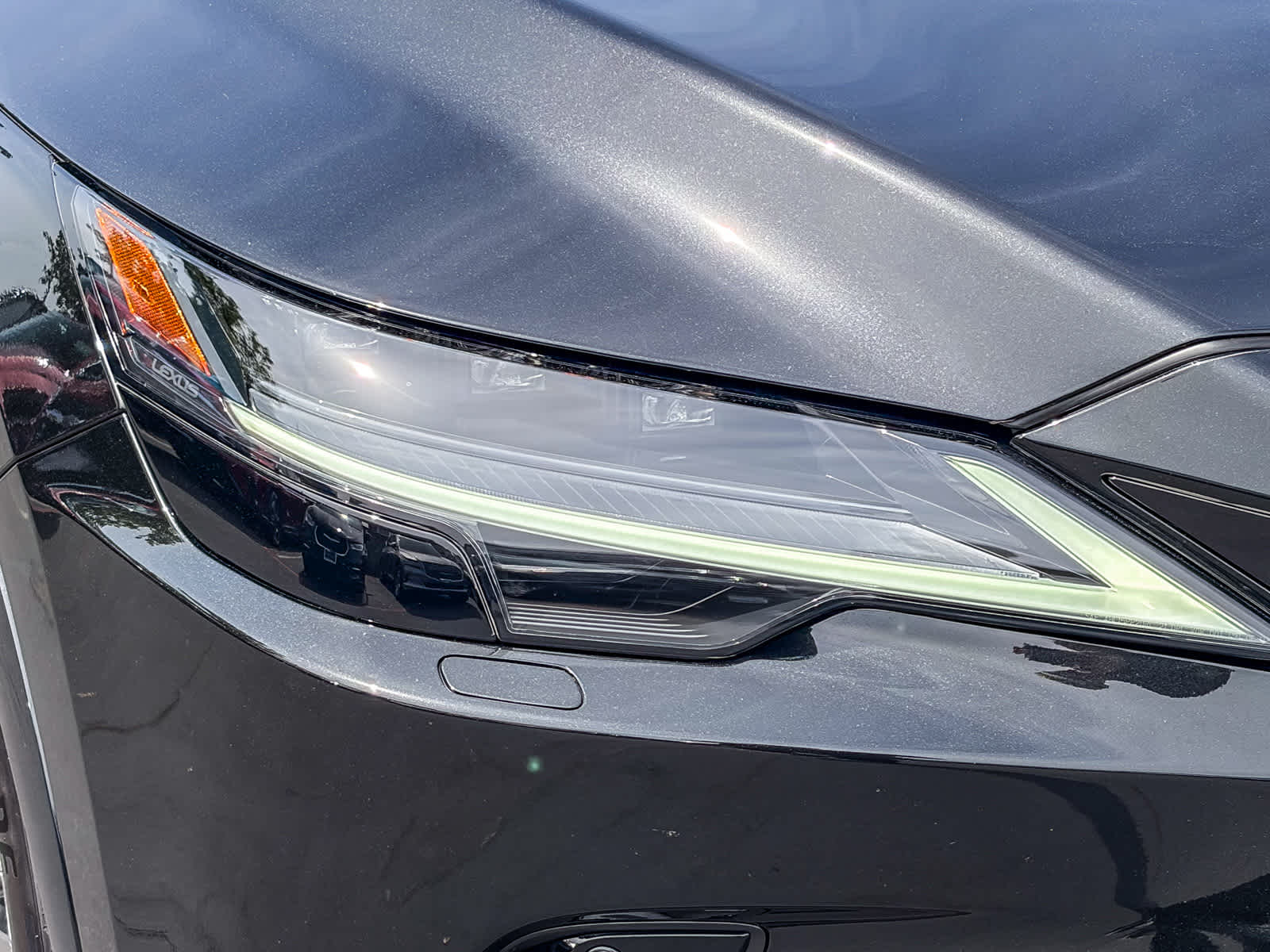 2024 LEXUS RX 350h Luxury photo 6