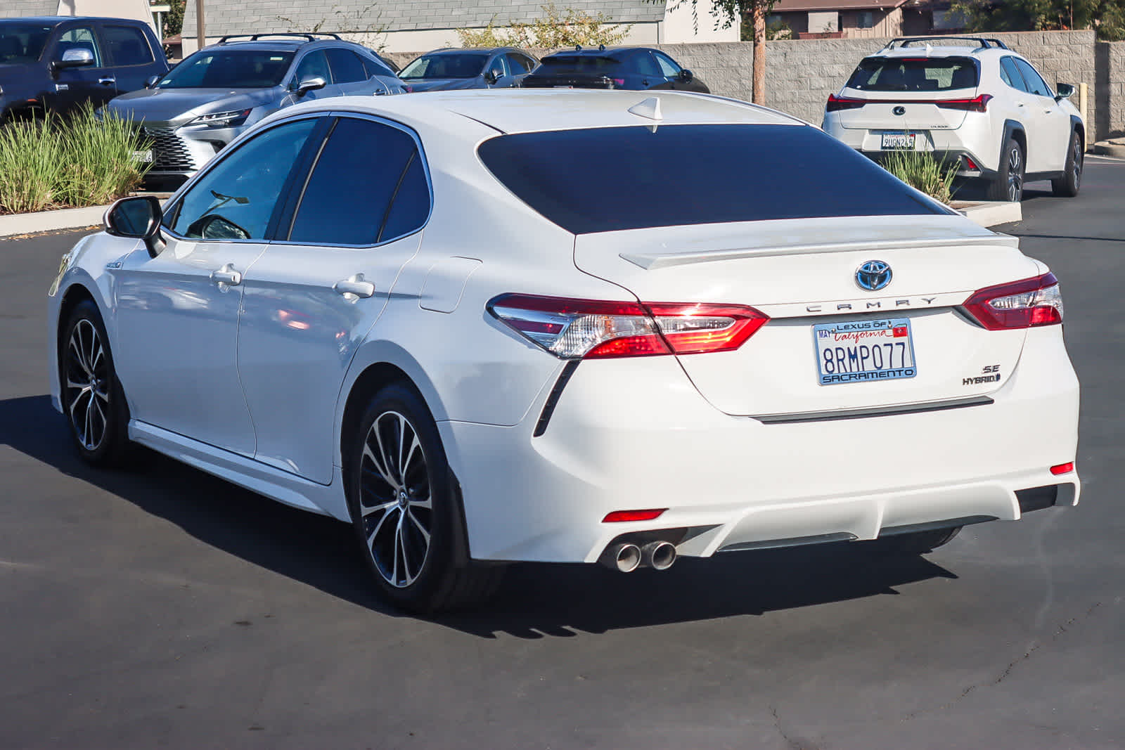 2020 Toyota Camry Hybrid SE photo 2