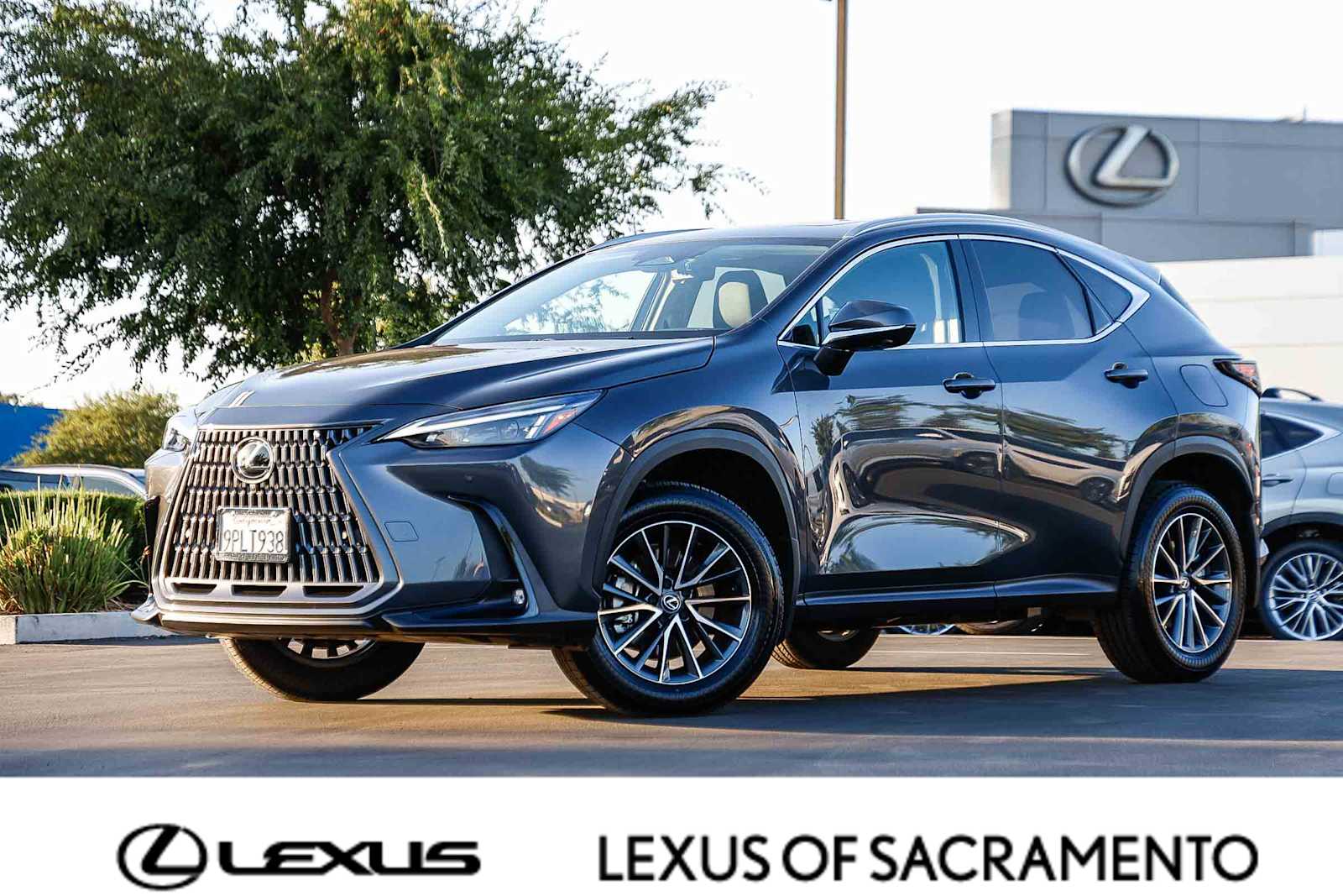 Thumbnail: 2025 Lexus NX - 1