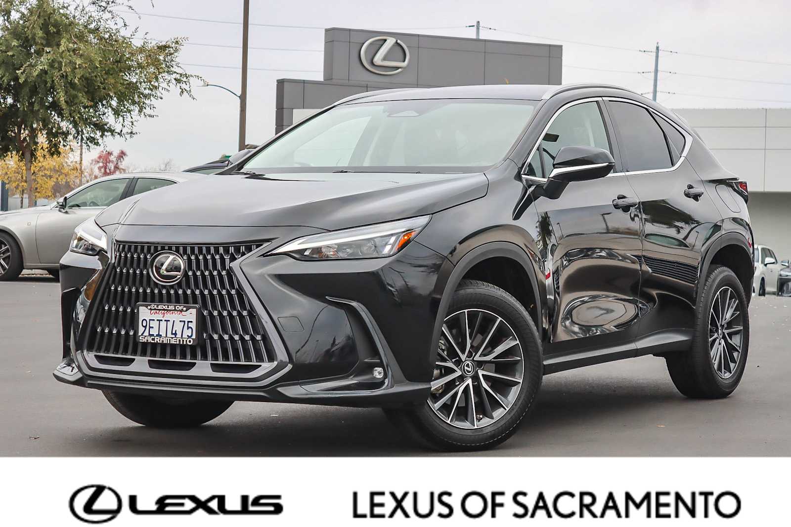 2023 Lexus NX 250's photo