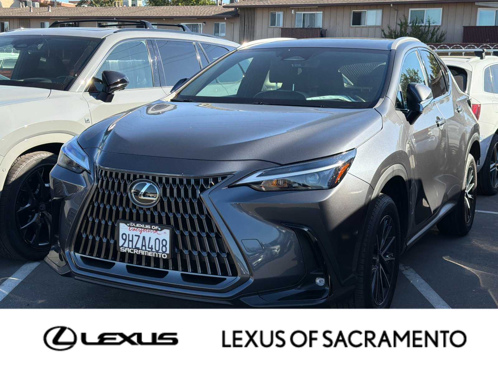 2024 Lexus NX