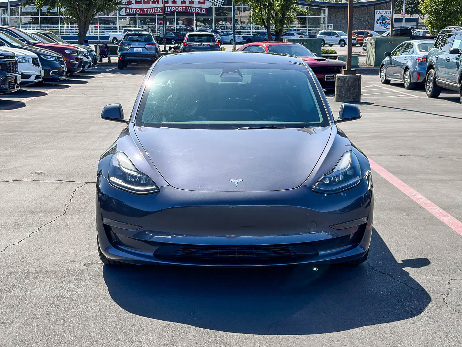2023 Tesla Model 3 Base photo 6