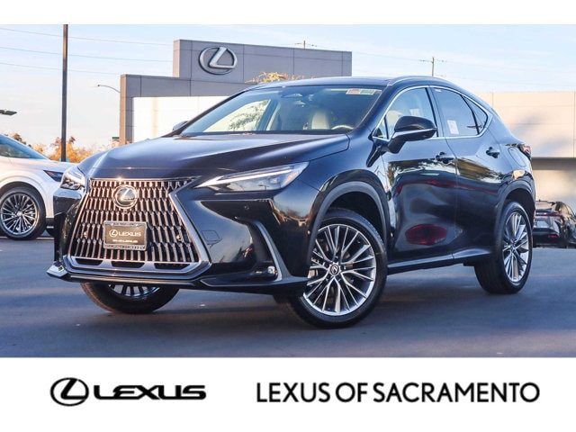 2026 Lexus NX 350's photo