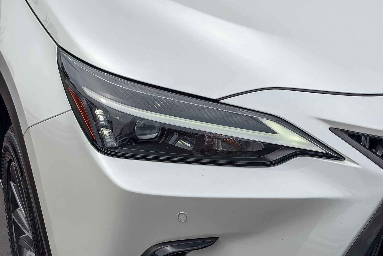 2024 LEXUS NX 350h Premium photo 6