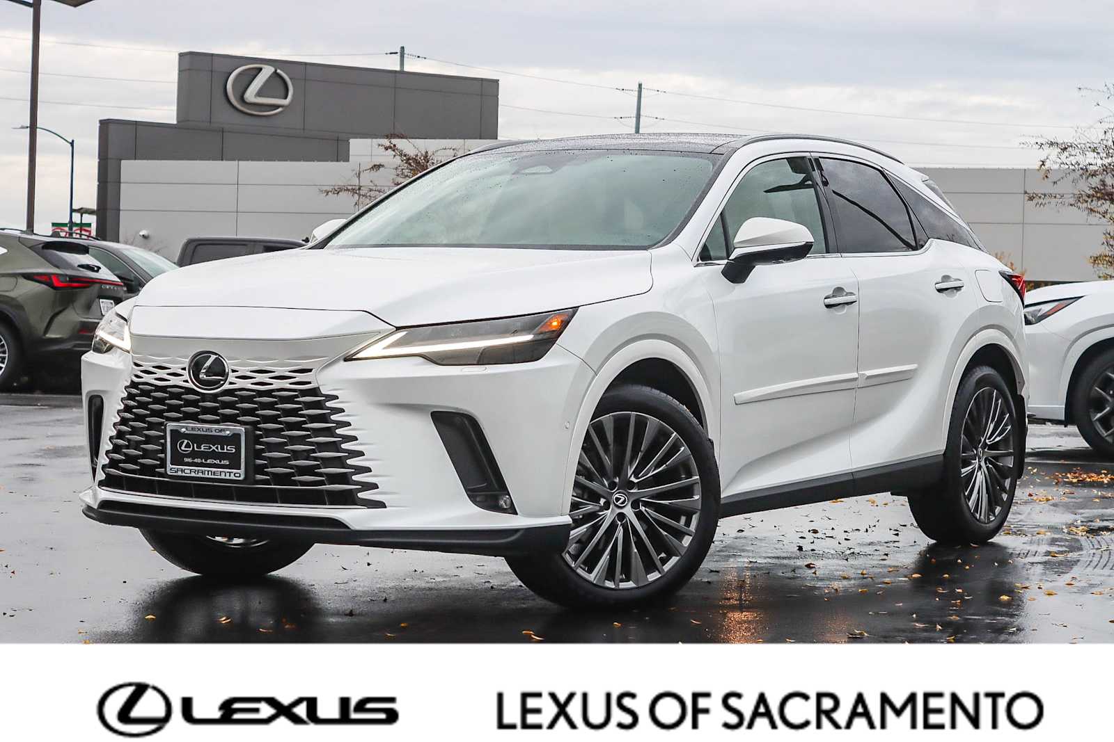 2025 Lexus RX Hybrid 350h's photo