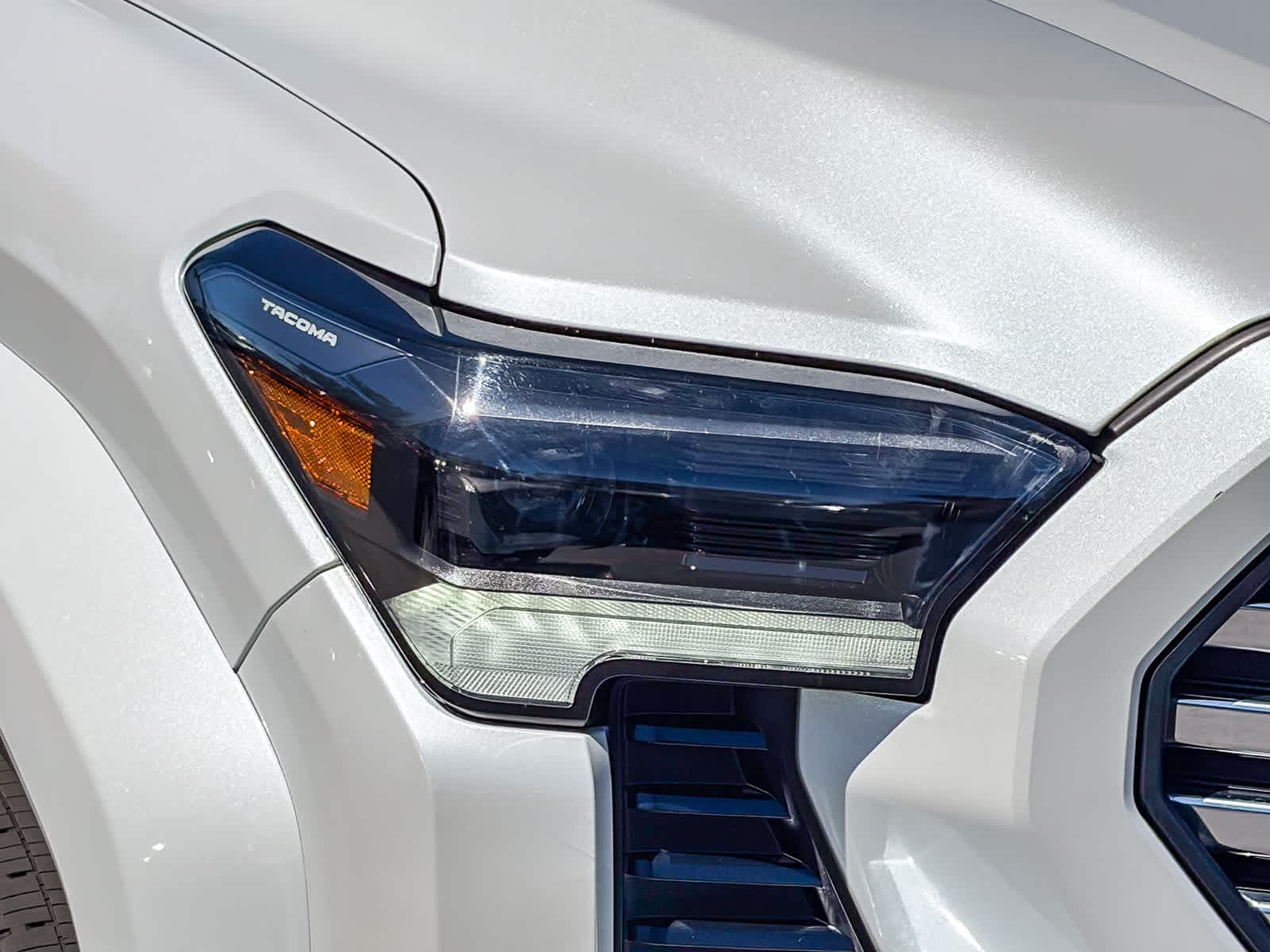 2024 Toyota Tacoma Limited photo 6