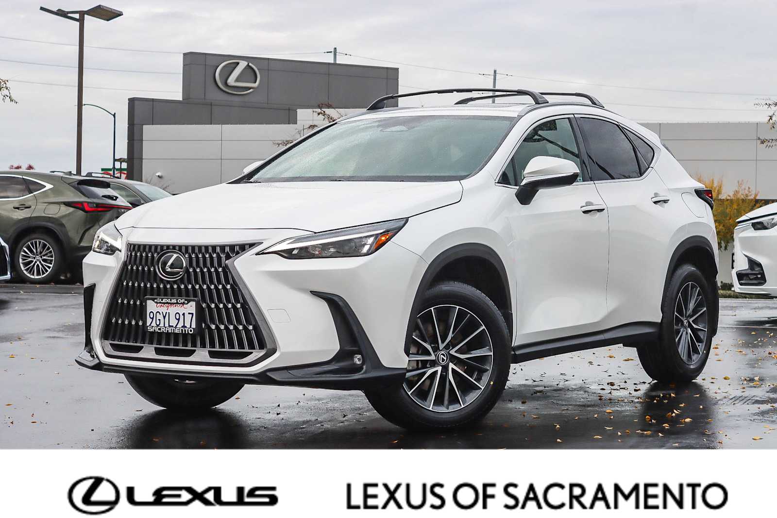 2024 Lexus NX Hybrid 350h's photo