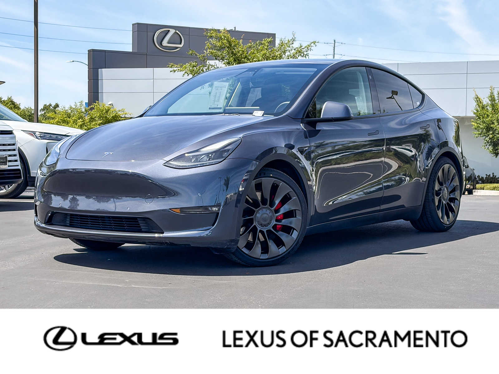 2022 Tesla Model Y's photo