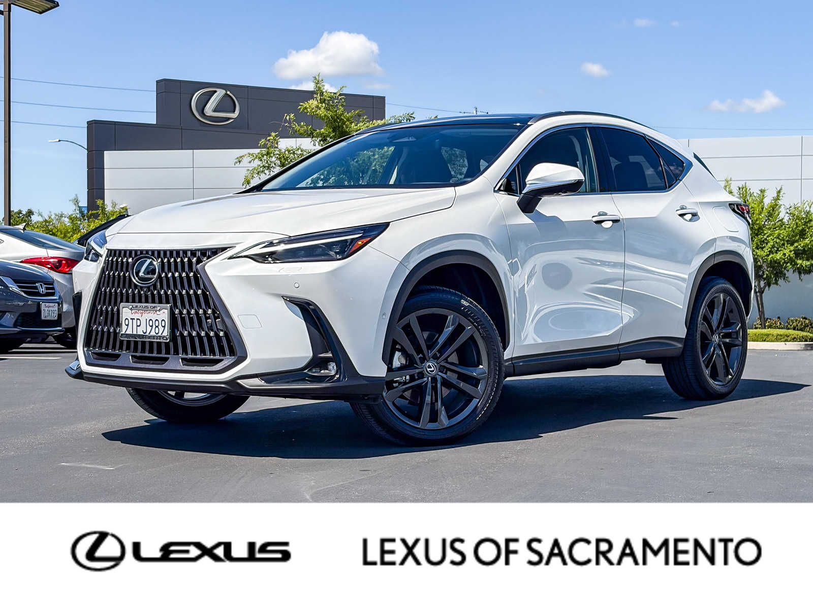 2025 LEXUS NX 450h+ Luxury photo 1