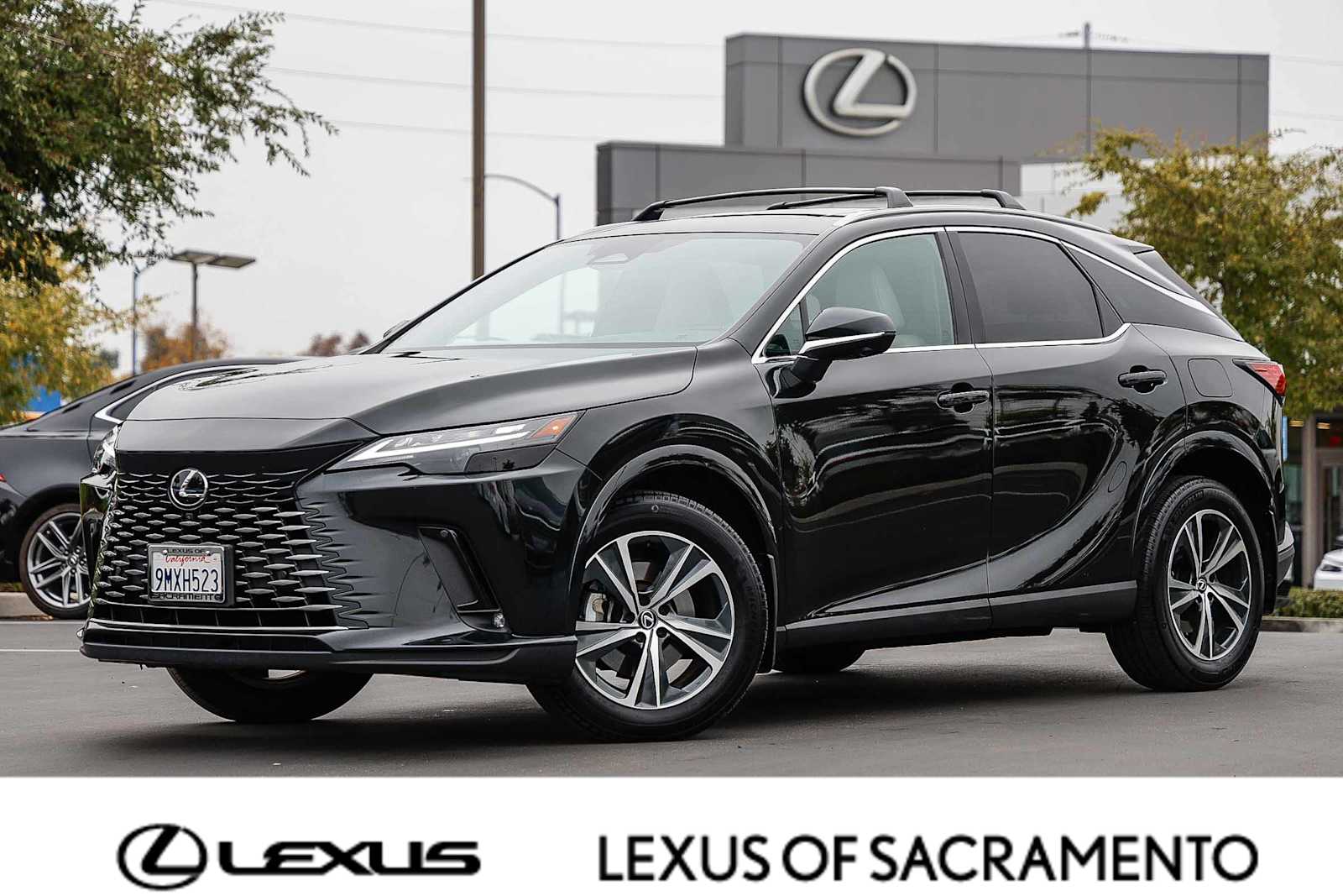 2024 Lexus RX 350's photo