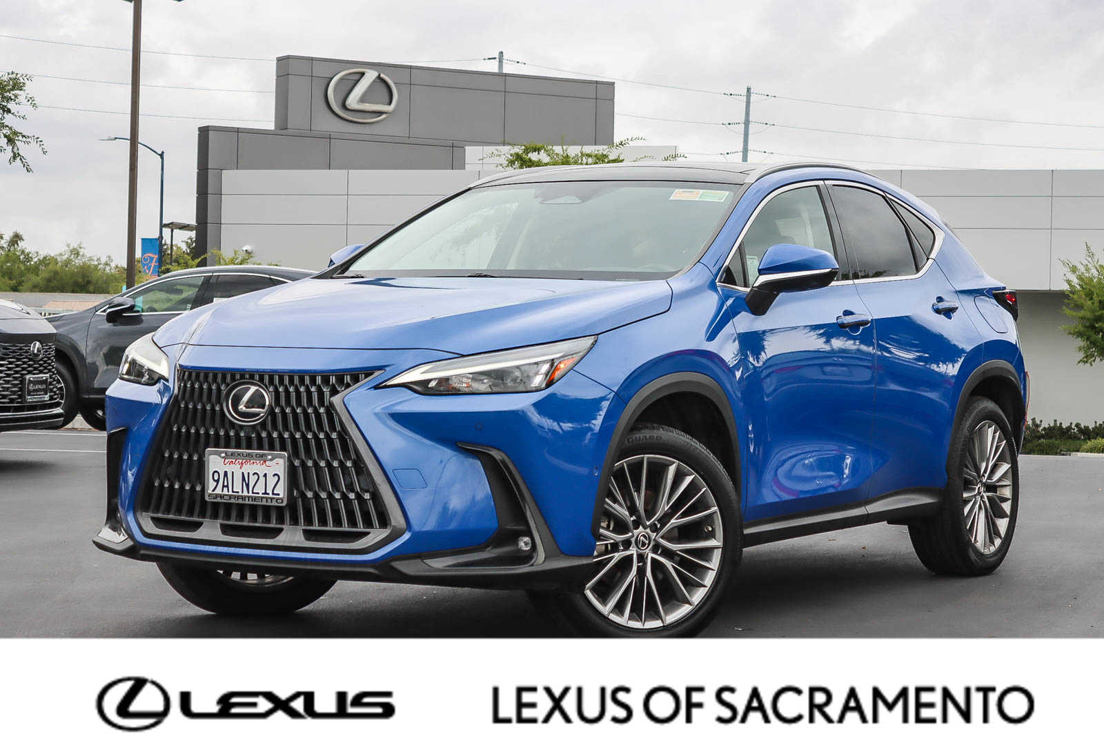 2022 Lexus NX Hybrid 350h's photo