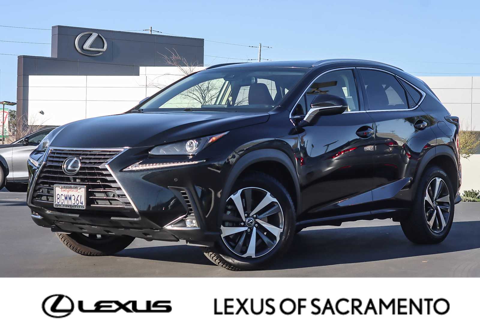 2019 Lexus NX 300's photo