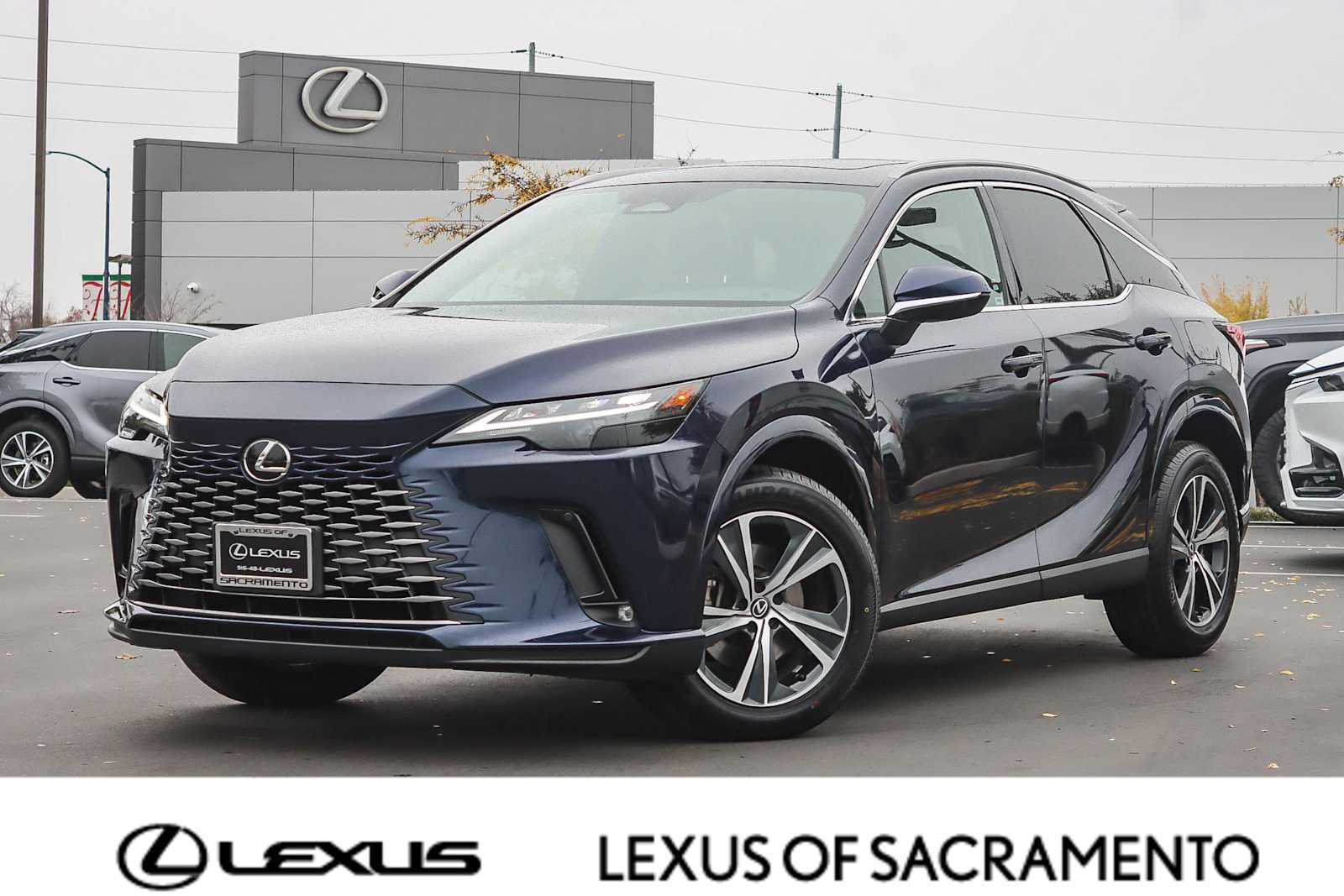 2023 Lexus RX 350's photo