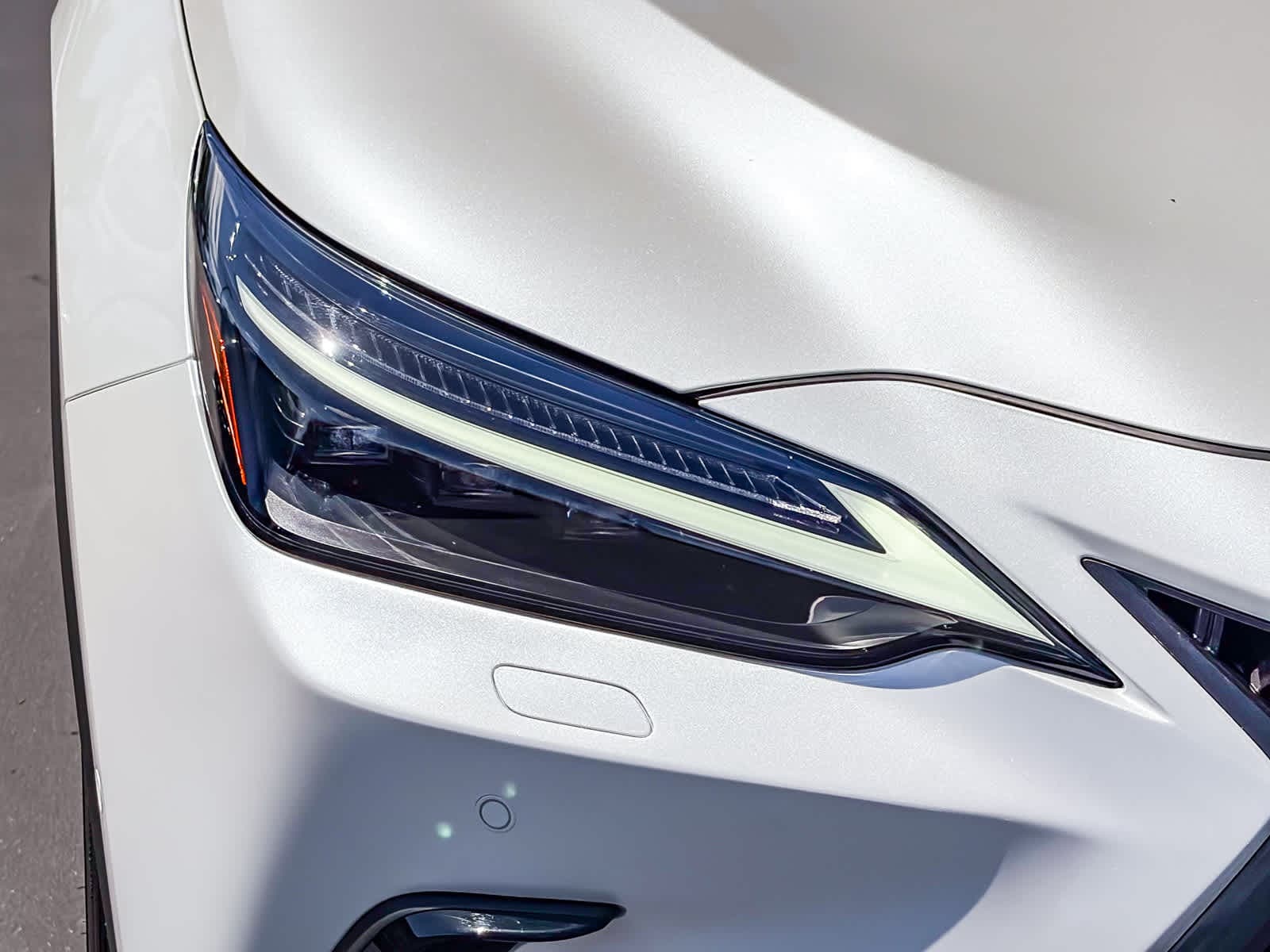 2025 LEXUS NX 450h+ Luxury photo 6