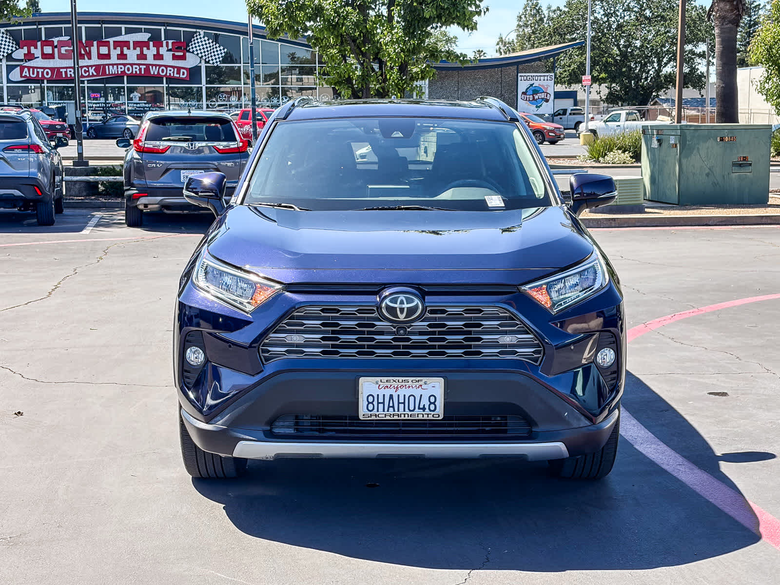 2019 Toyota RAV4 Limited photo 5